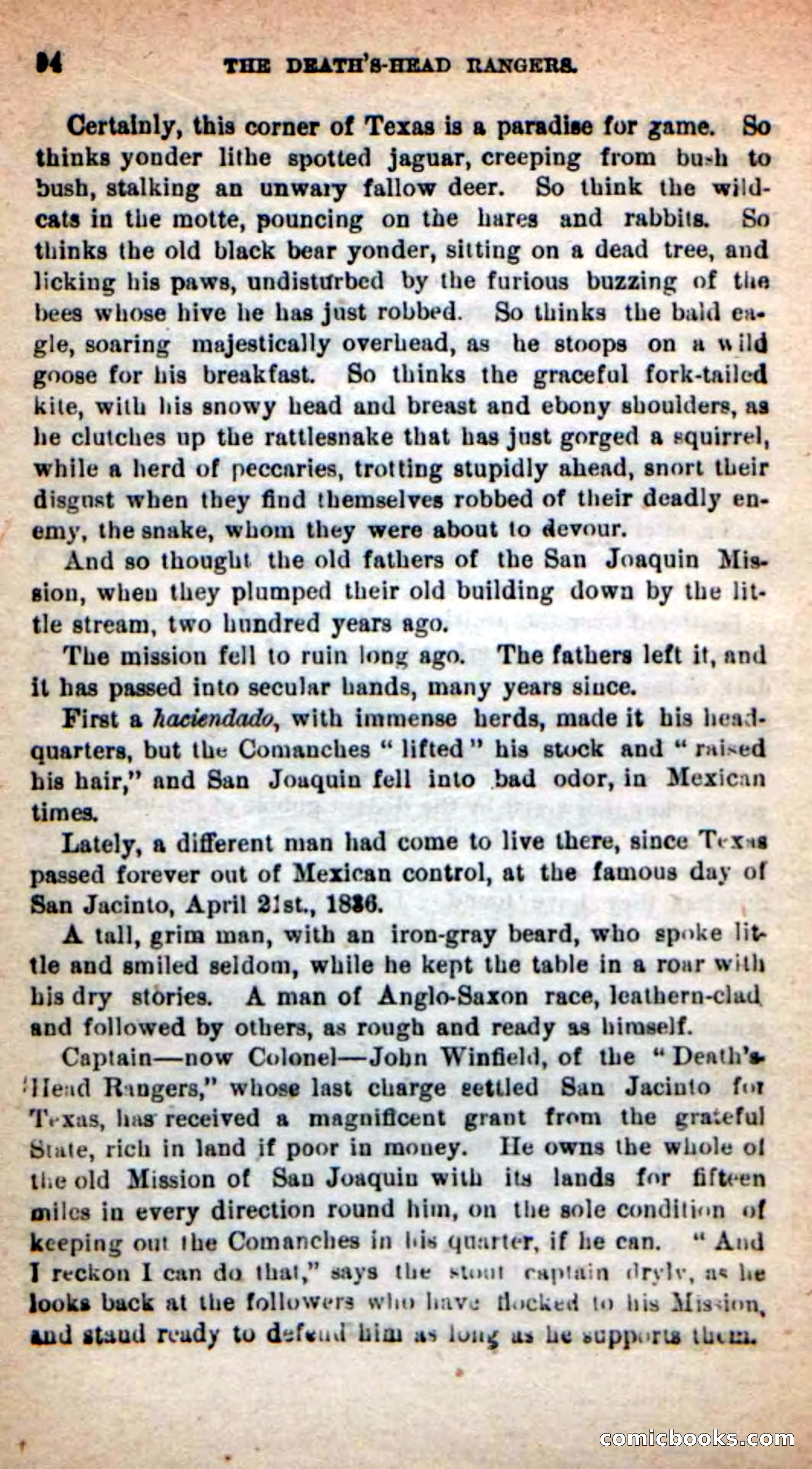 Beadle's New Dime Novels: The Death's-Head Rangers — page 90 of 100