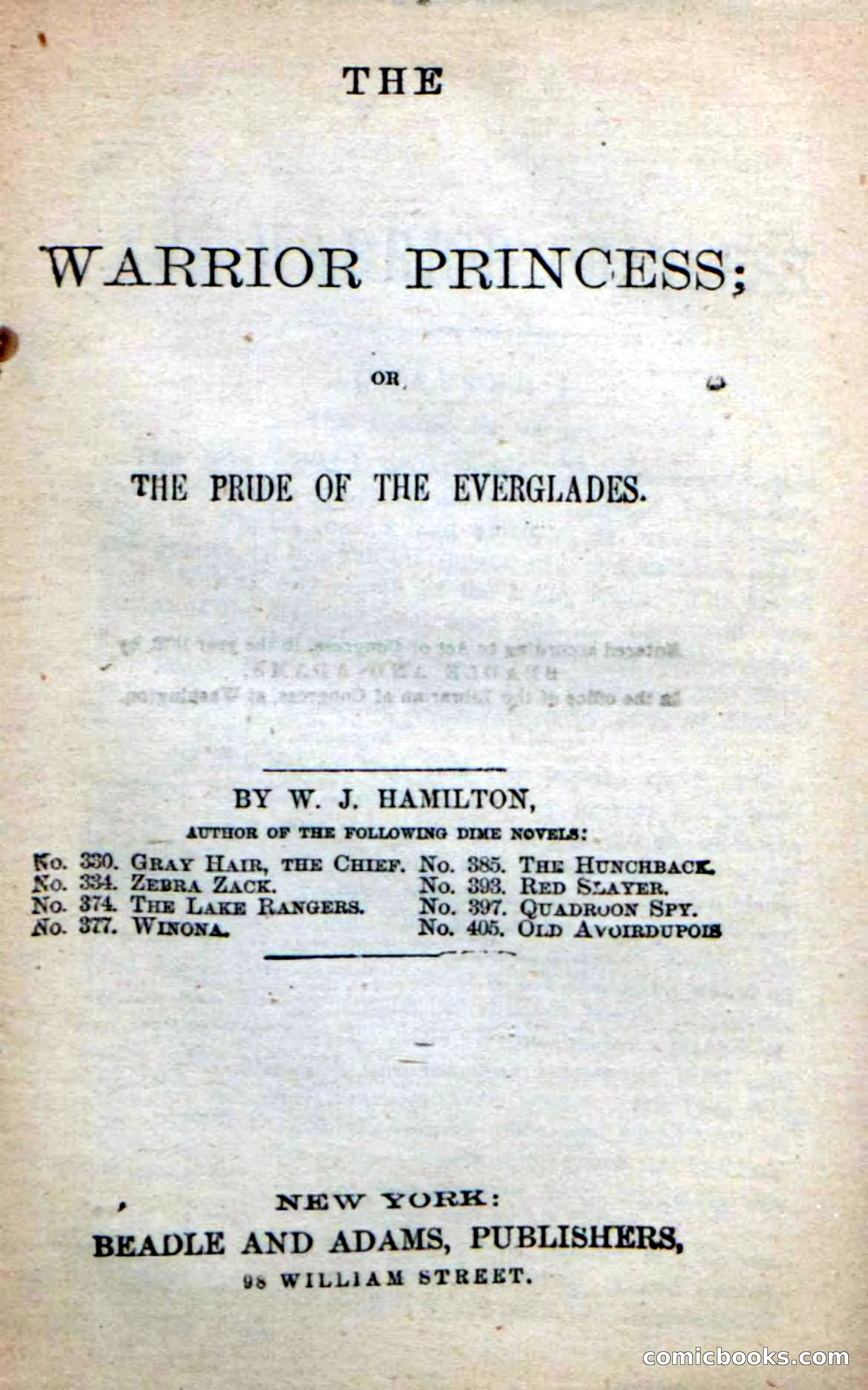 Beadle's New Dime Novels: The Warrior Princess — page 3 of 100