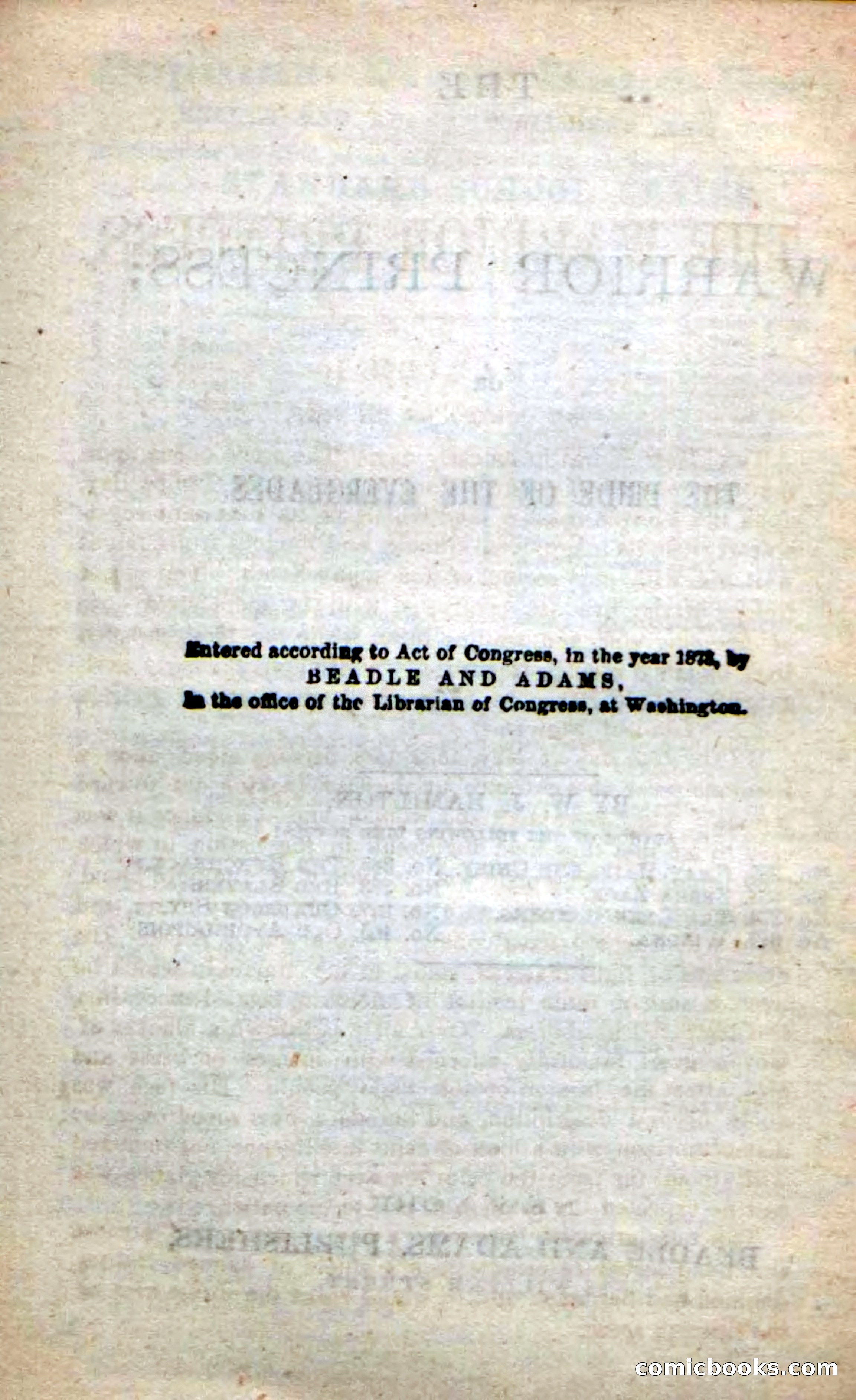 Beadle's New Dime Novels: The Warrior Princess — page 4 of 100