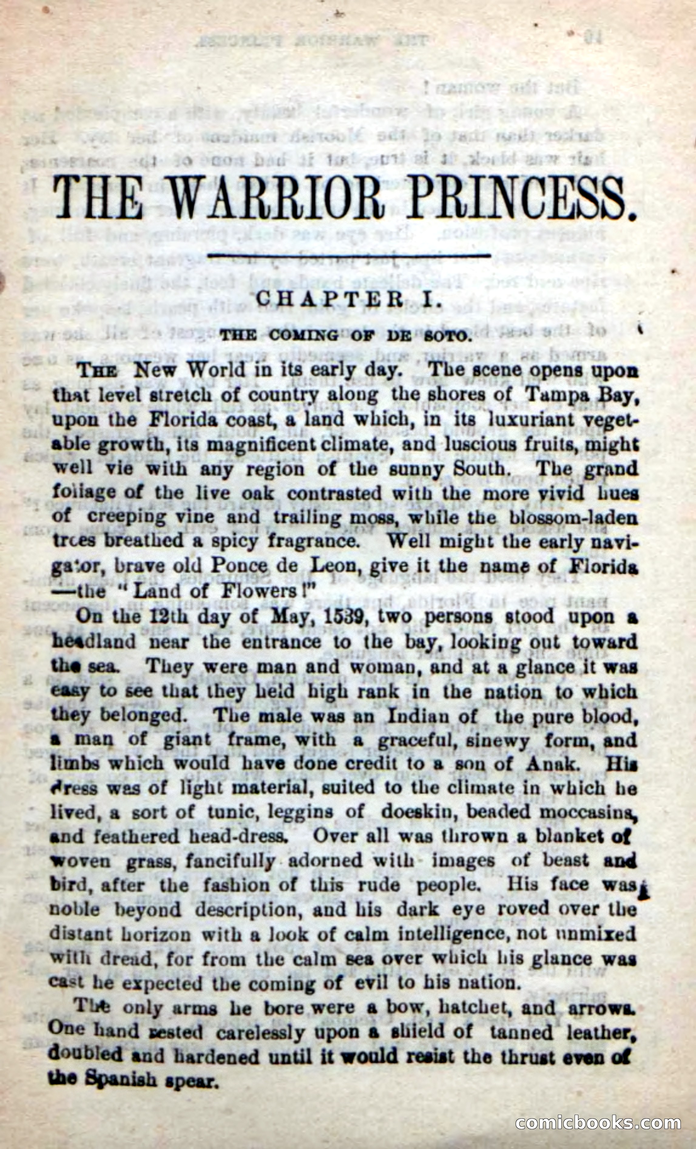 Beadle's New Dime Novels: The Warrior Princess — page 5 of 100