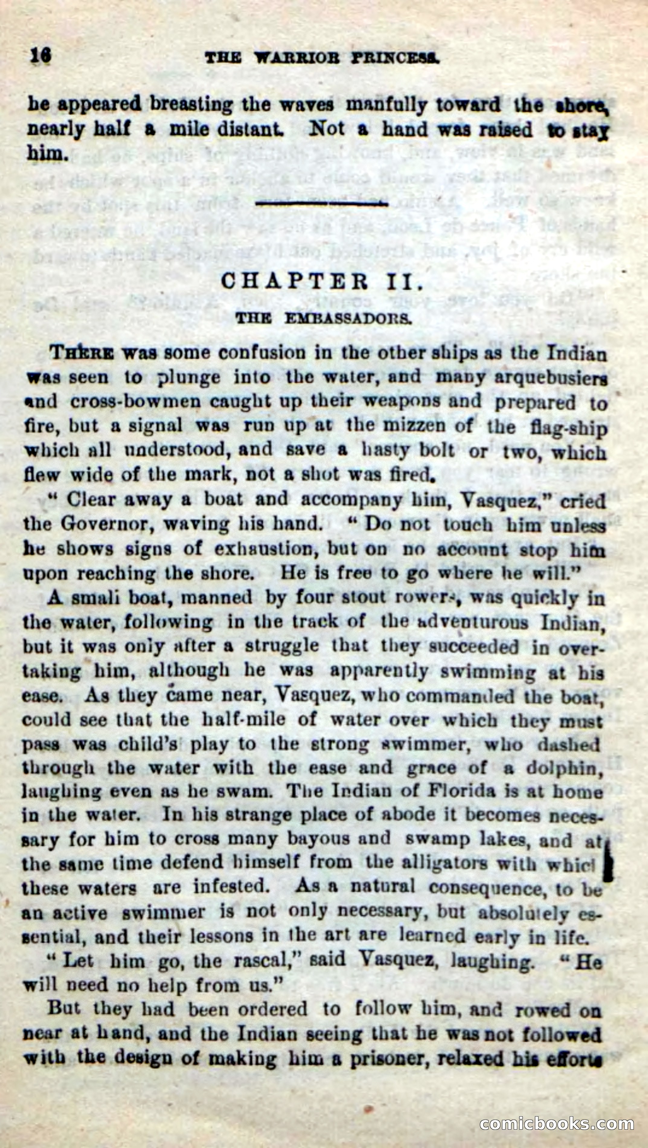Beadle's New Dime Novels: The Warrior Princess — page 12 of 100