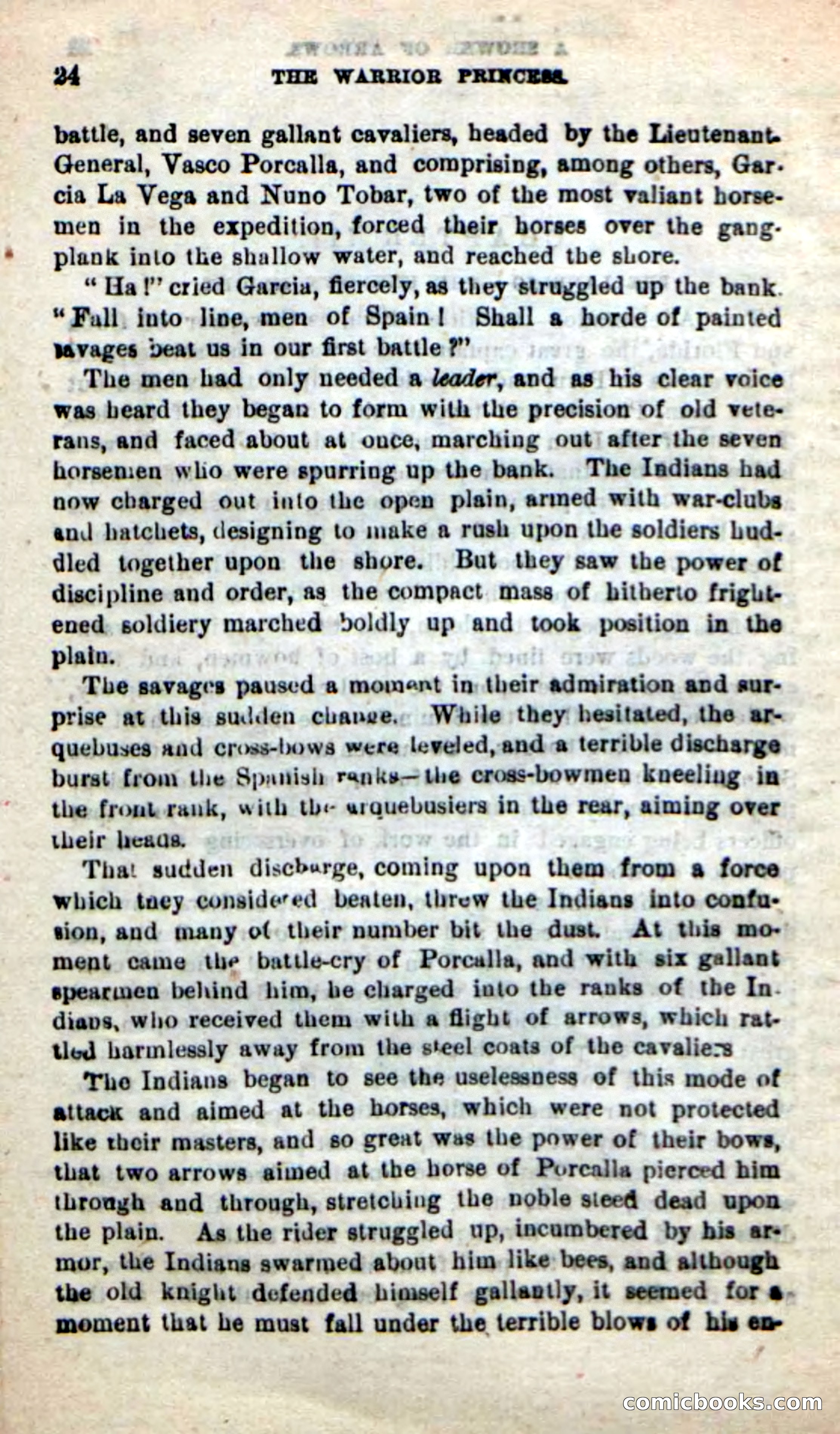 Beadle's New Dime Novels: The Warrior Princess — page 20 of 100