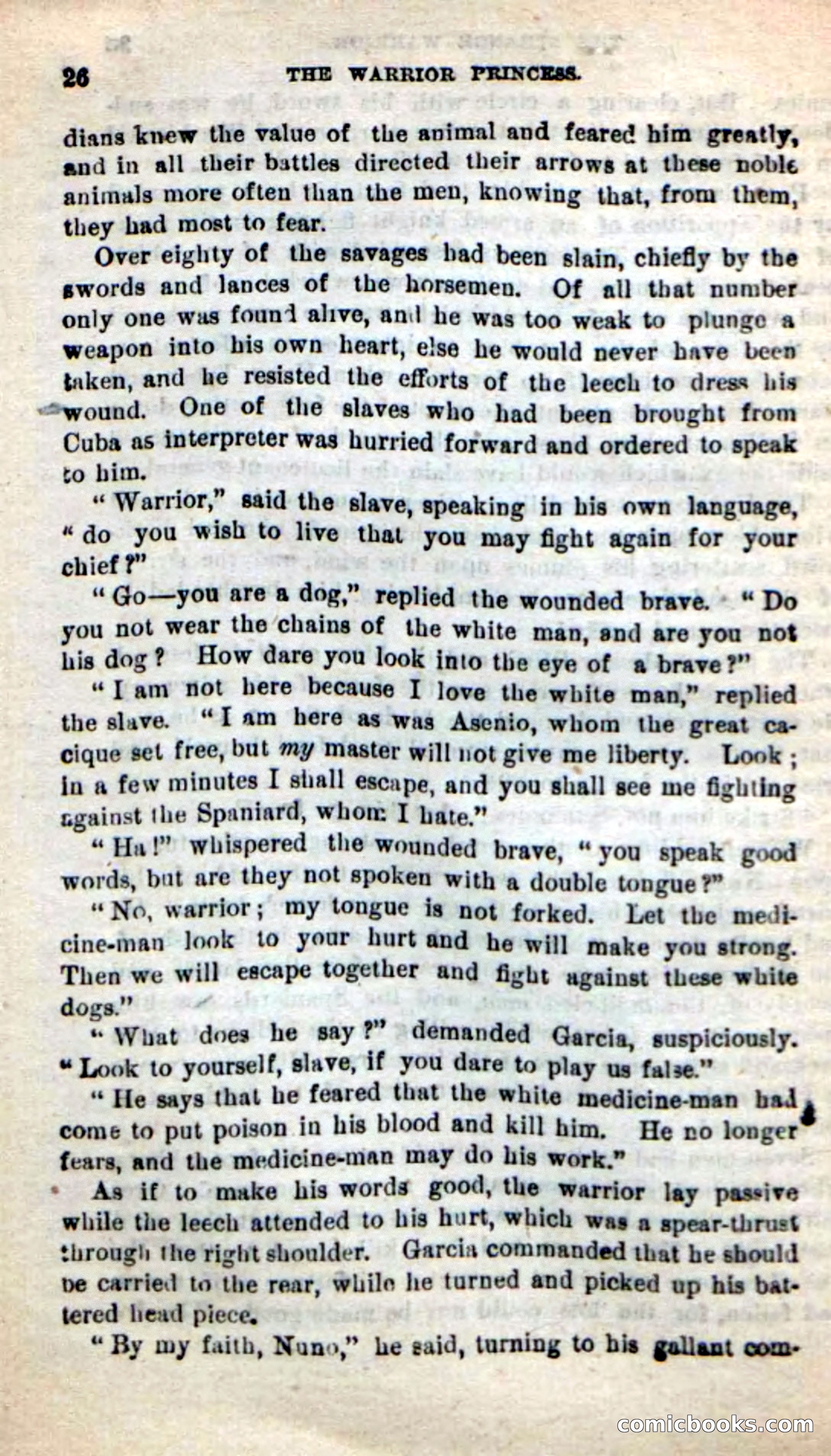 Beadle's New Dime Novels: The Warrior Princess — page 22 of 100
