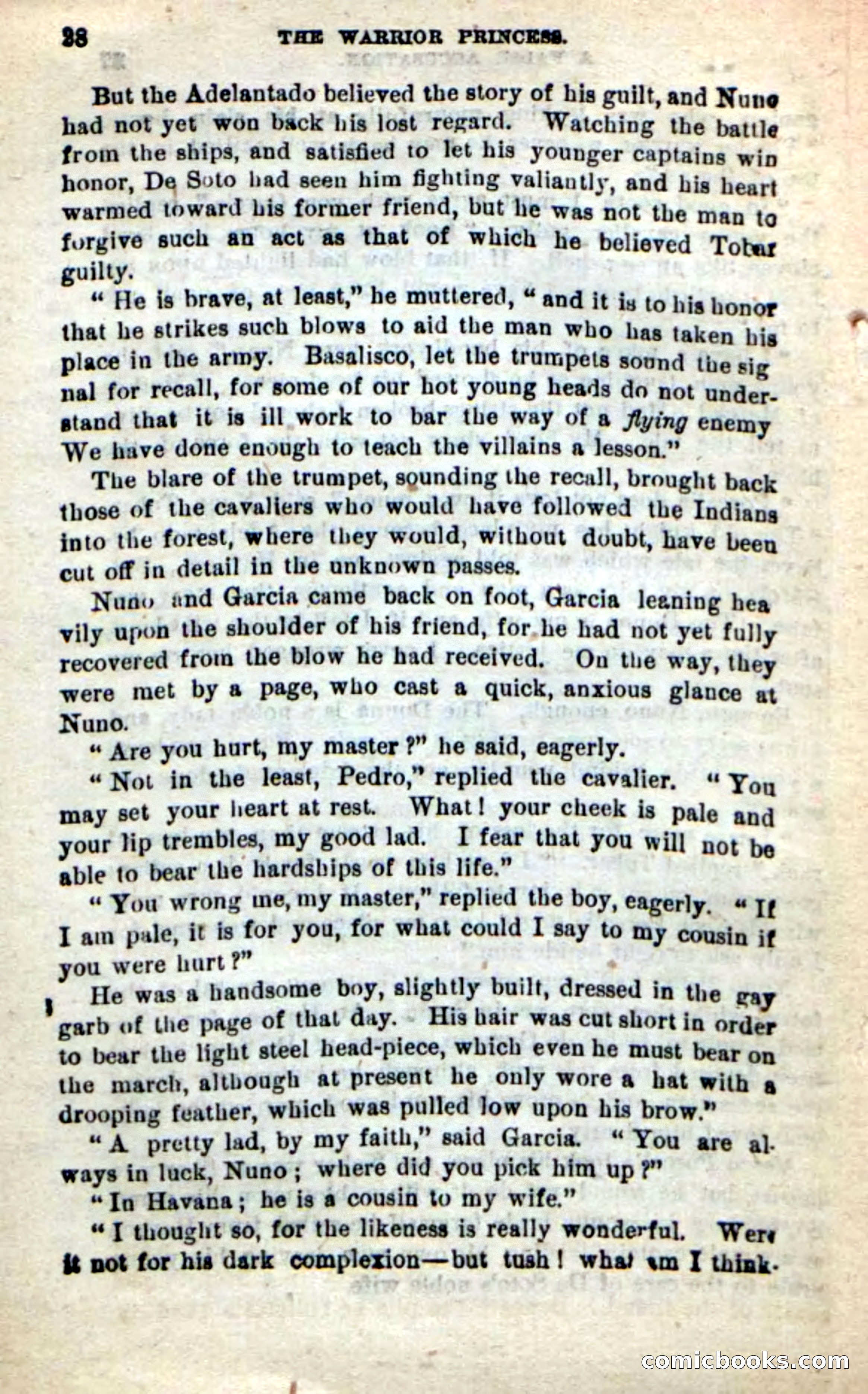 Beadle's New Dime Novels: The Warrior Princess — page 24 of 100