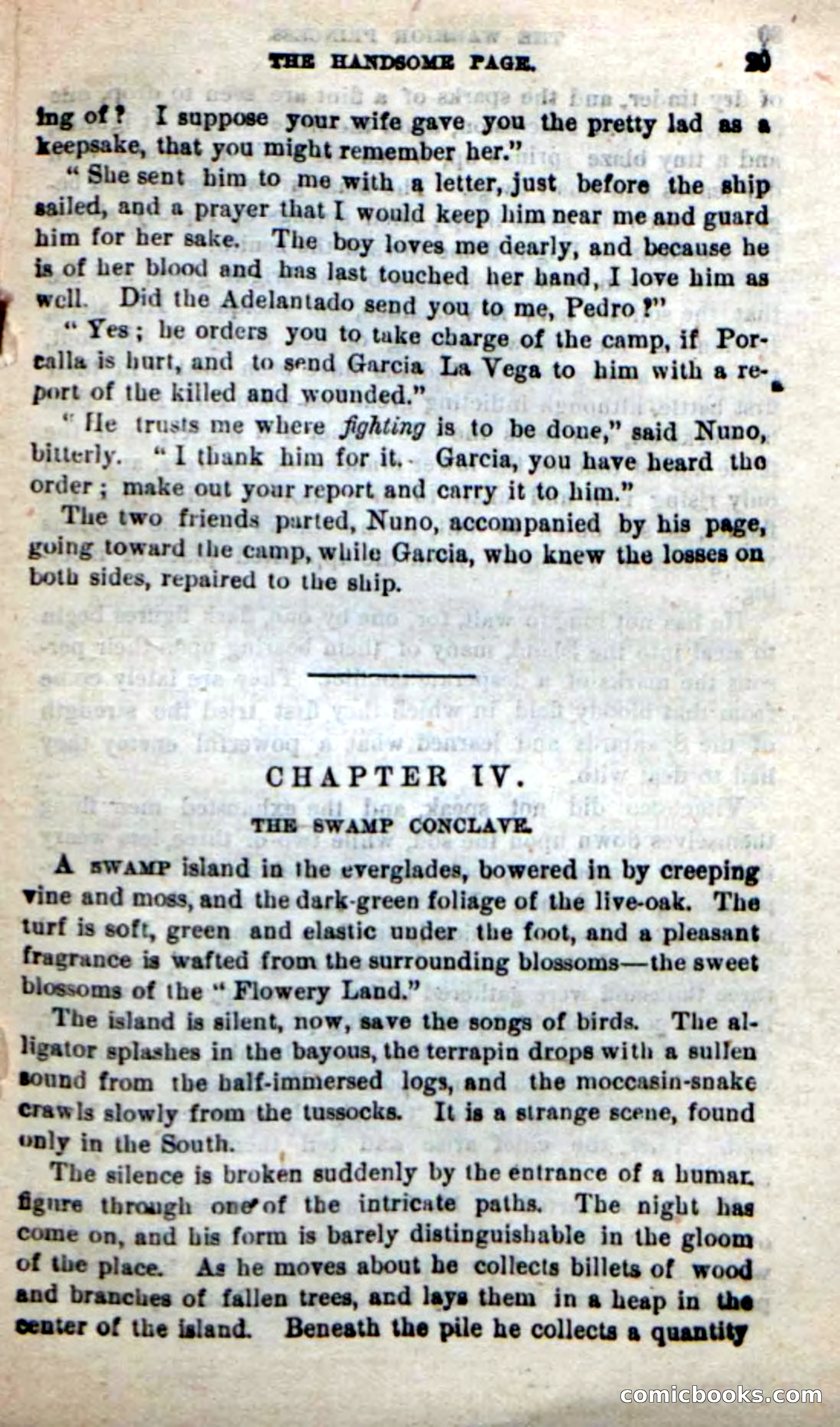 Beadle's New Dime Novels: The Warrior Princess — page 25 of 100