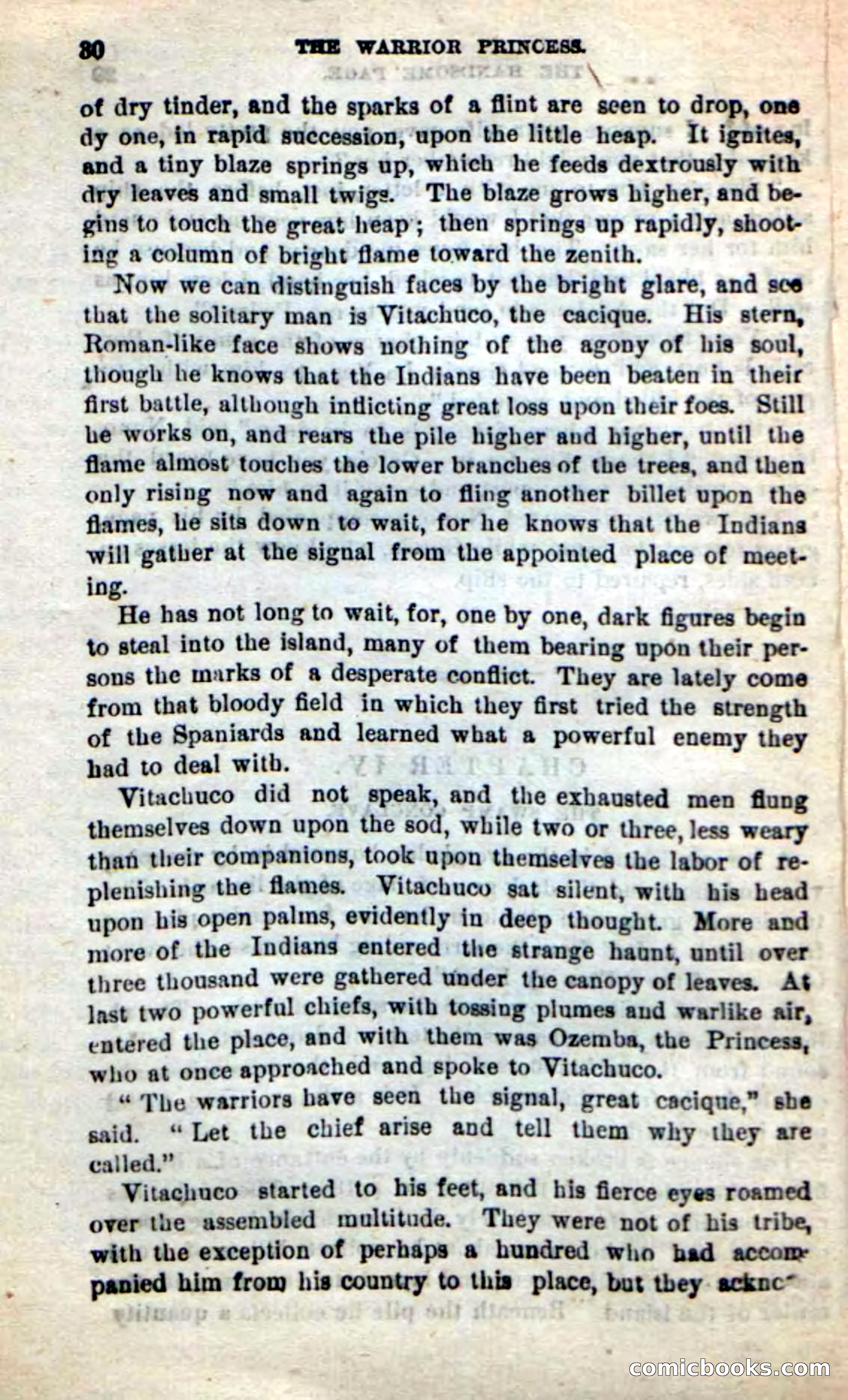 Beadle's New Dime Novels: The Warrior Princess — page 26 of 100