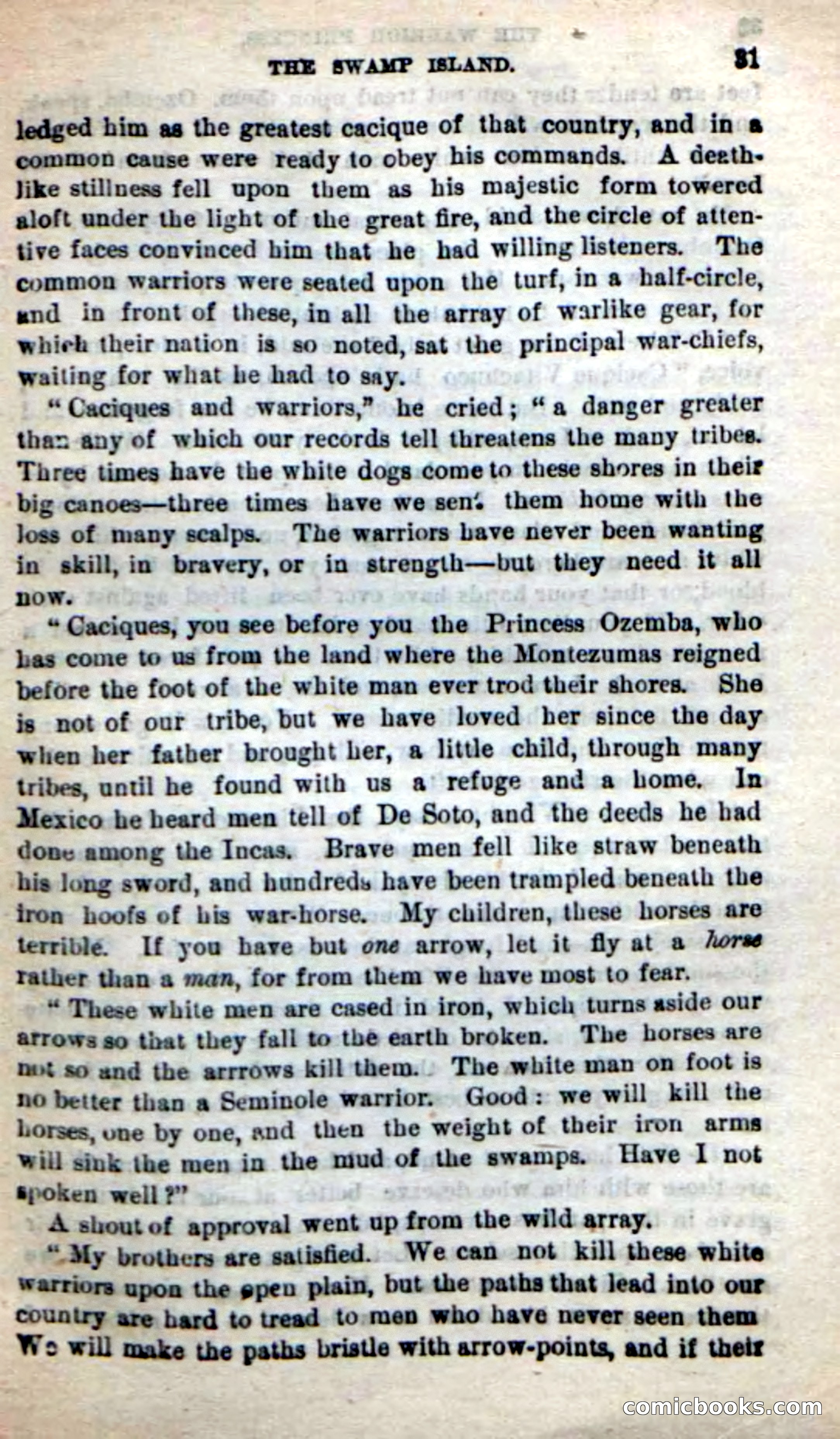 Beadle's New Dime Novels: The Warrior Princess — page 27 of 100