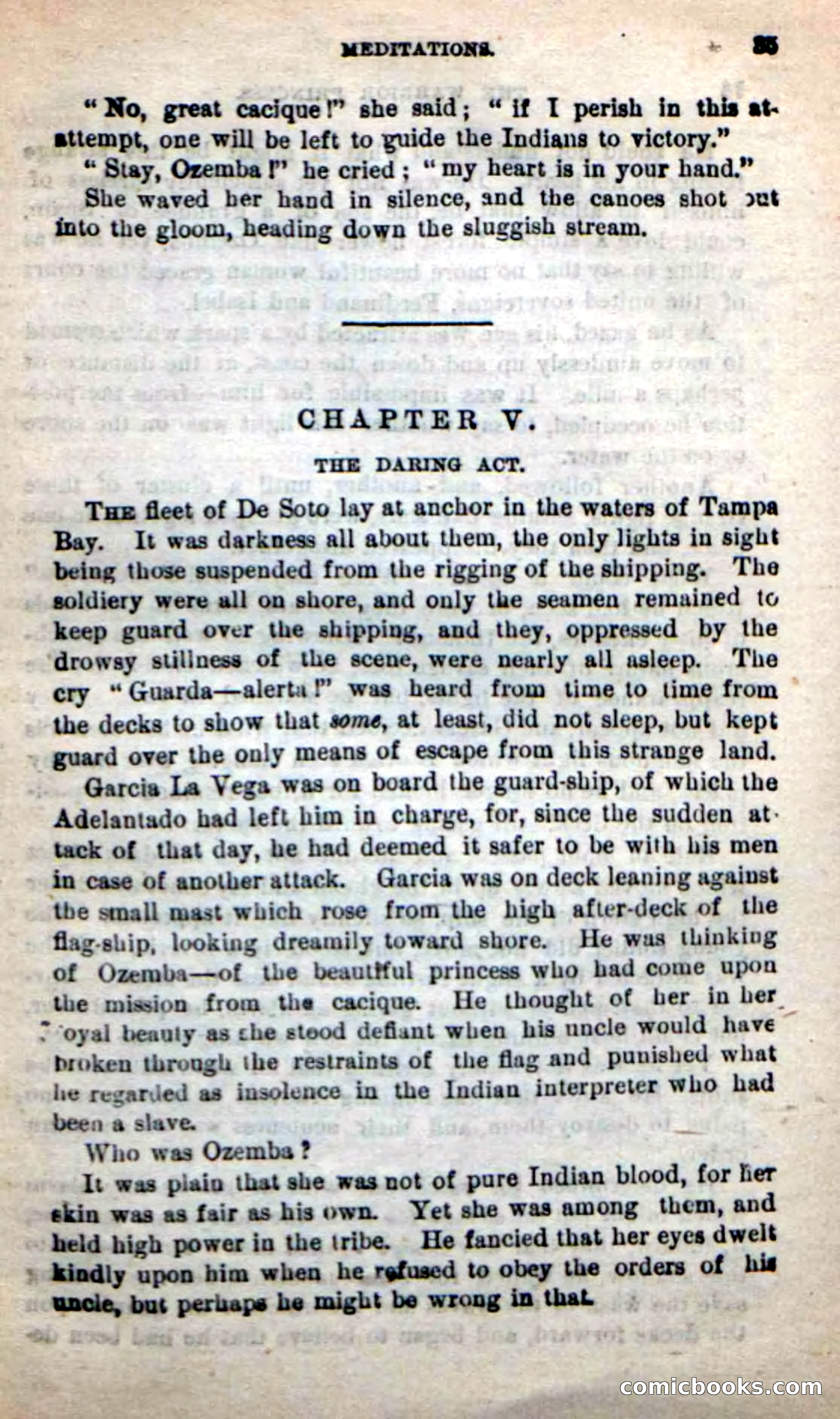 Beadle's New Dime Novels: The Warrior Princess — page 31 of 100