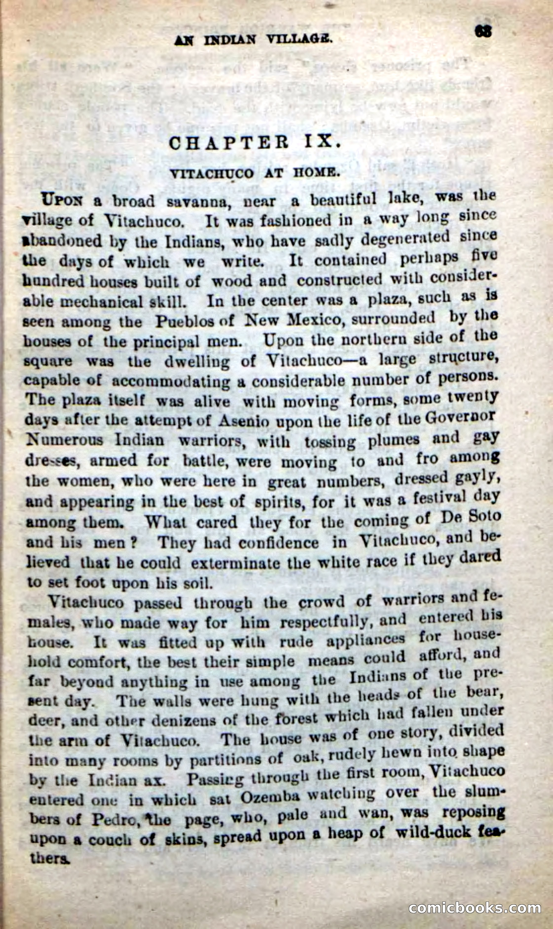 Beadle's New Dime Novels: The Warrior Princess — page 59 of 100