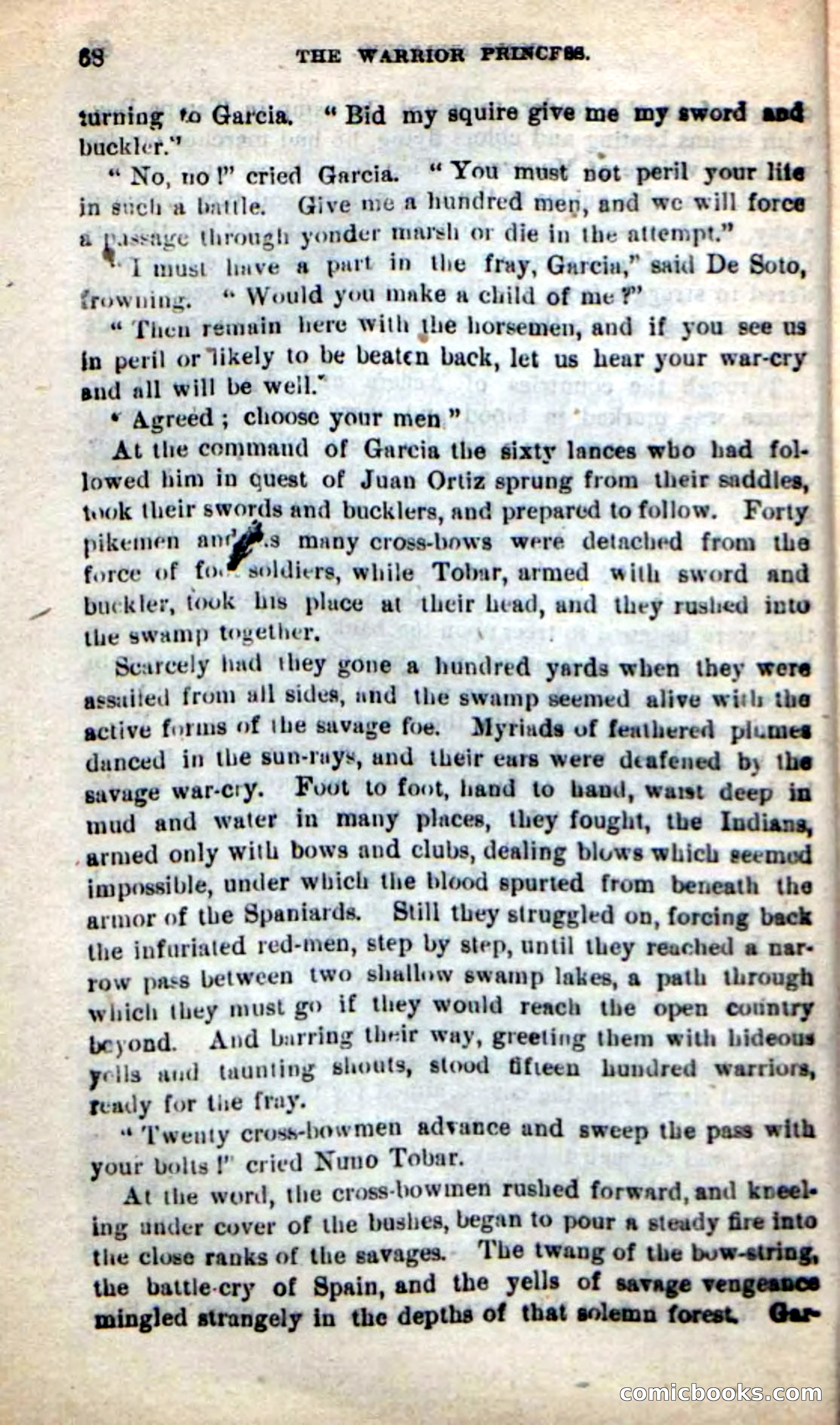 Beadle's New Dime Novels: The Warrior Princess — page 64 of 100