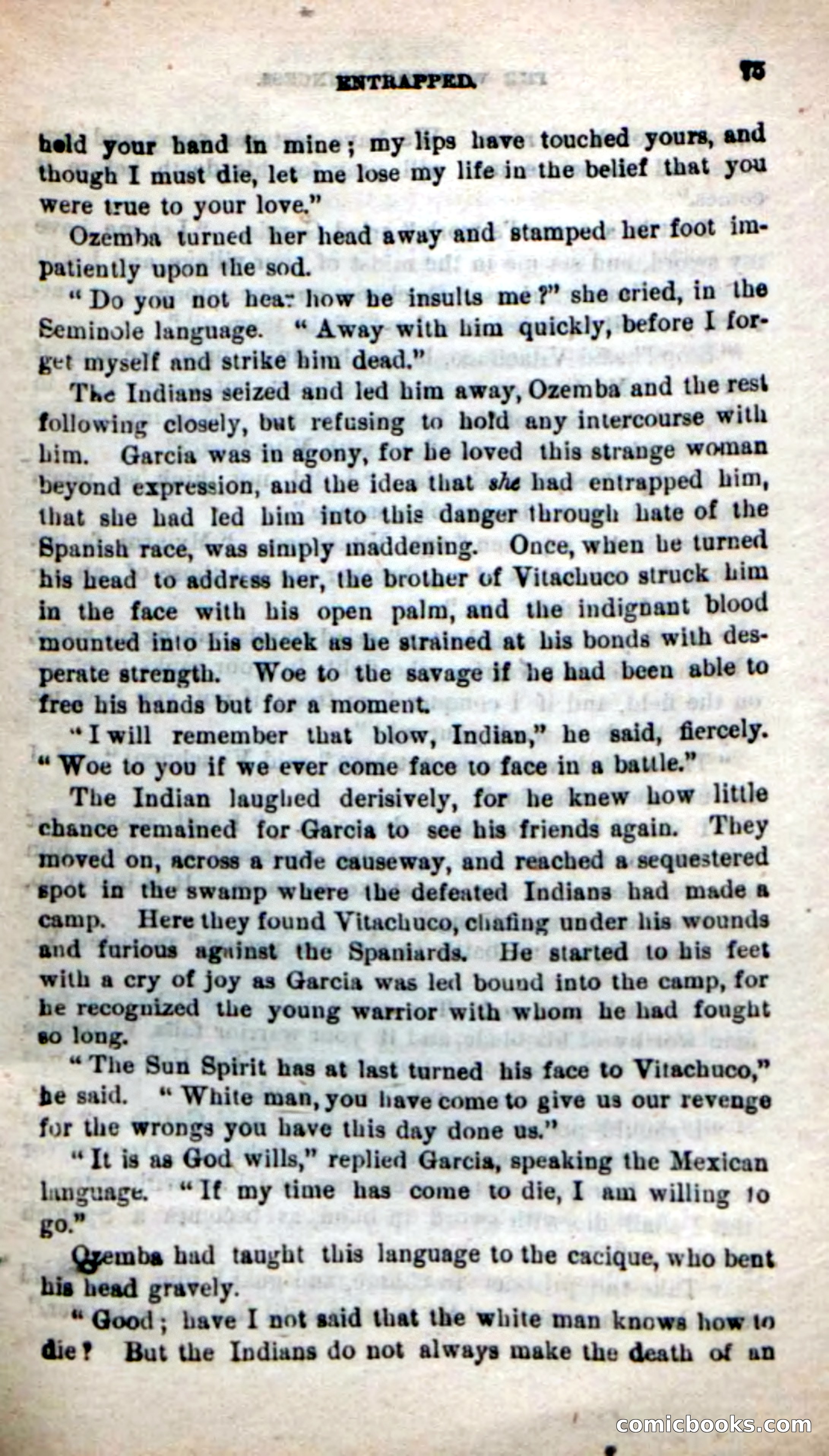 Beadle's New Dime Novels: The Warrior Princess — page 71 of 100