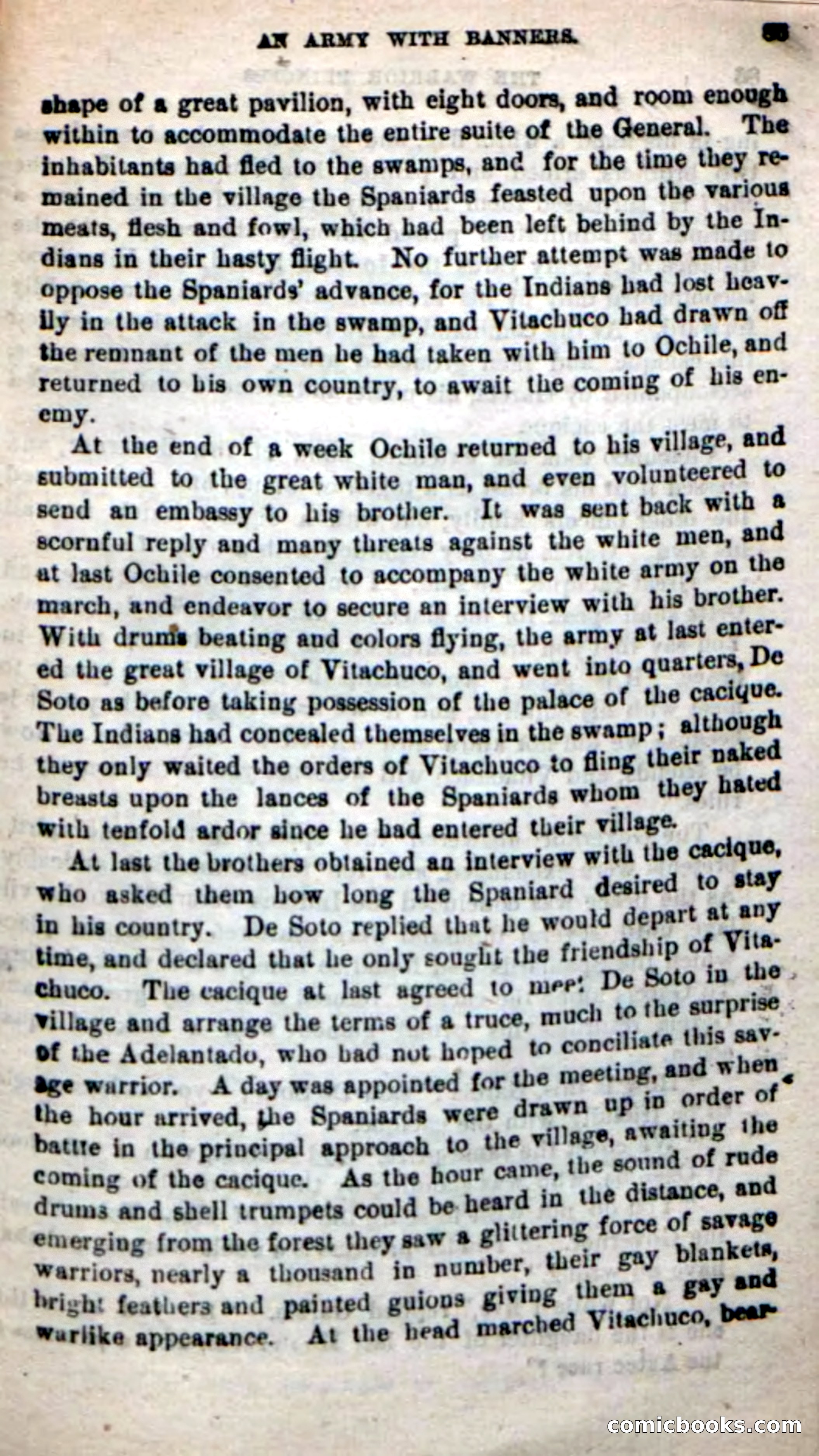 Beadle's New Dime Novels: The Warrior Princess — page 81 of 100