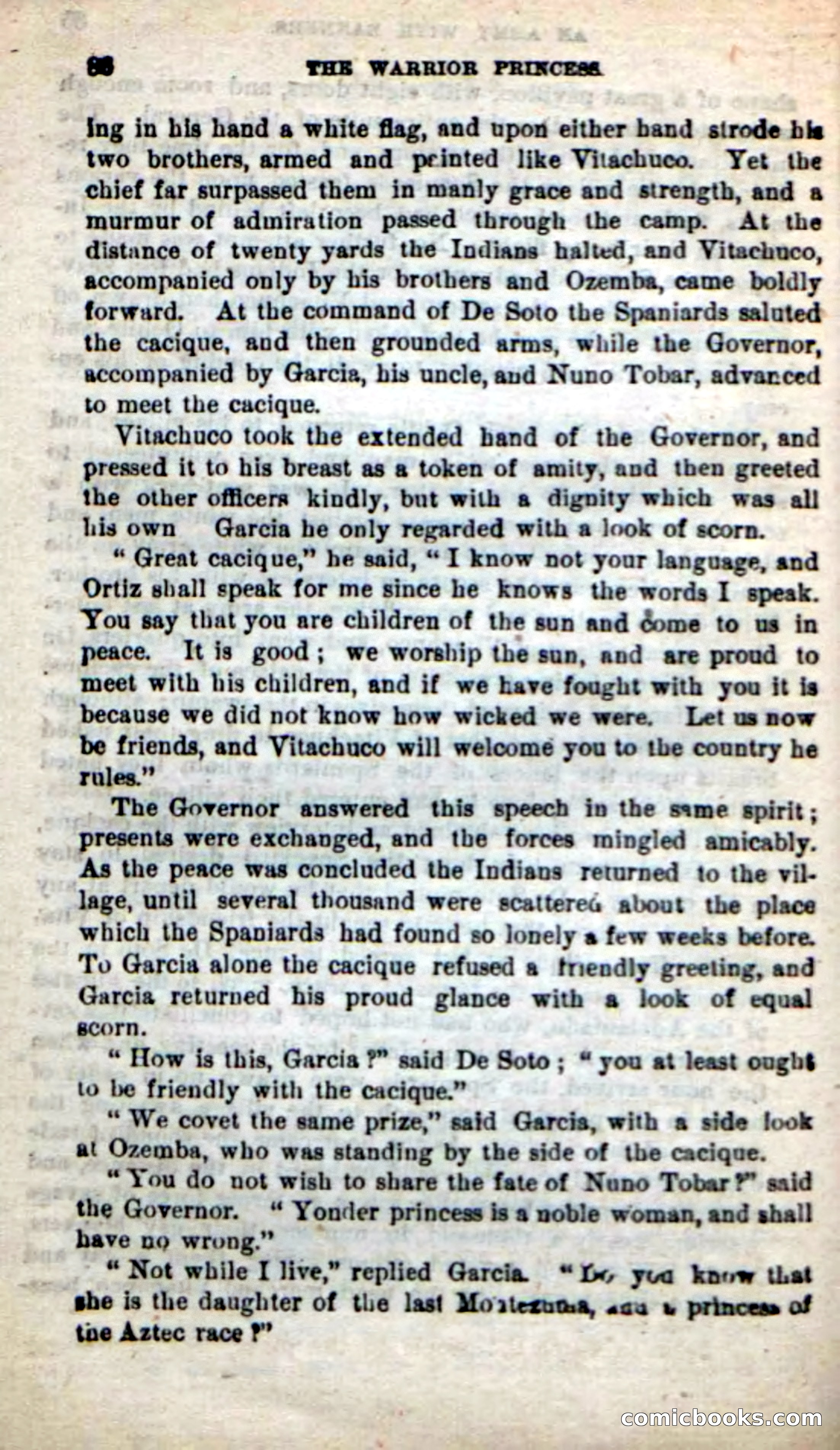 Beadle's New Dime Novels: The Warrior Princess — page 82 of 100