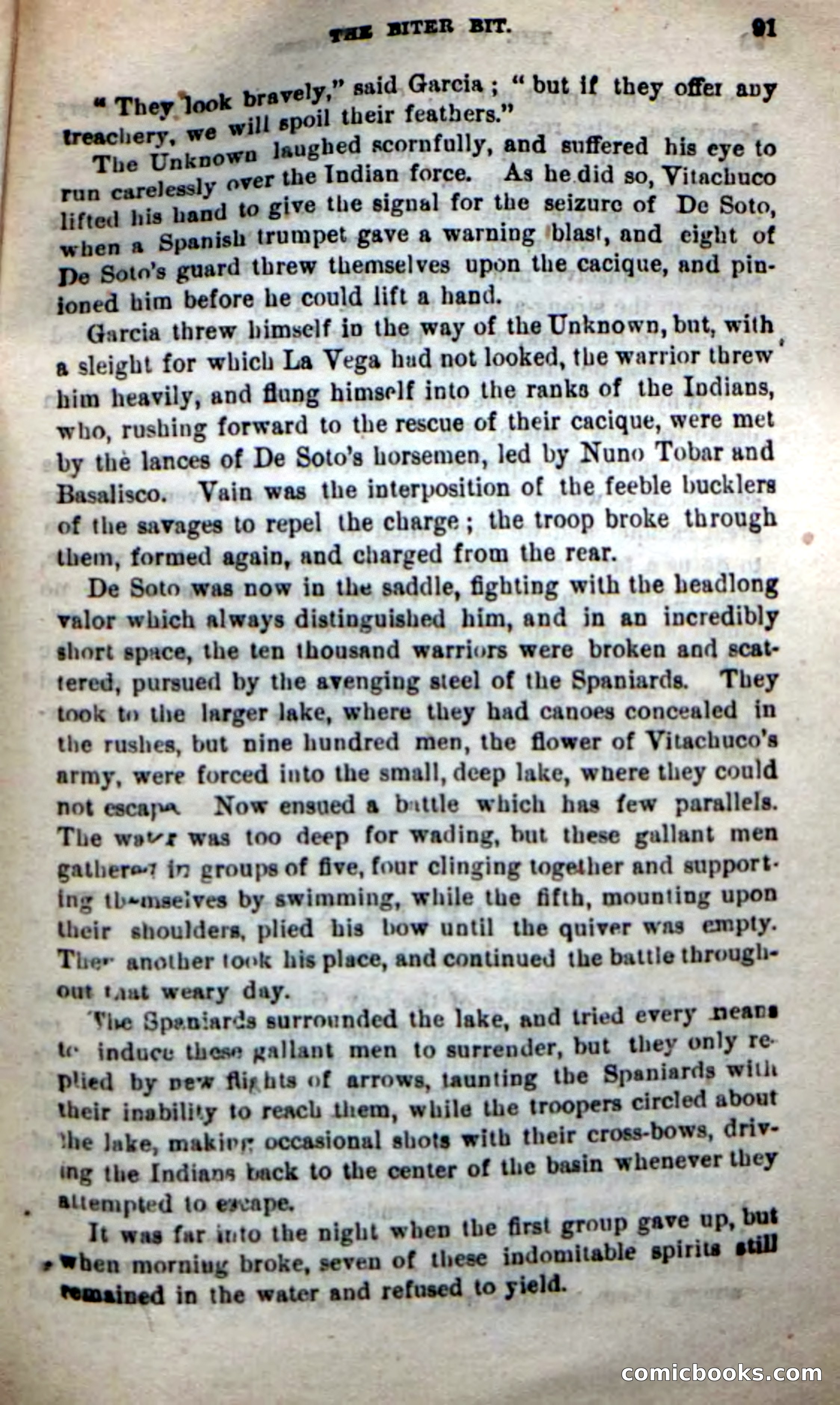 Beadle's New Dime Novels: The Warrior Princess — page 87 of 100