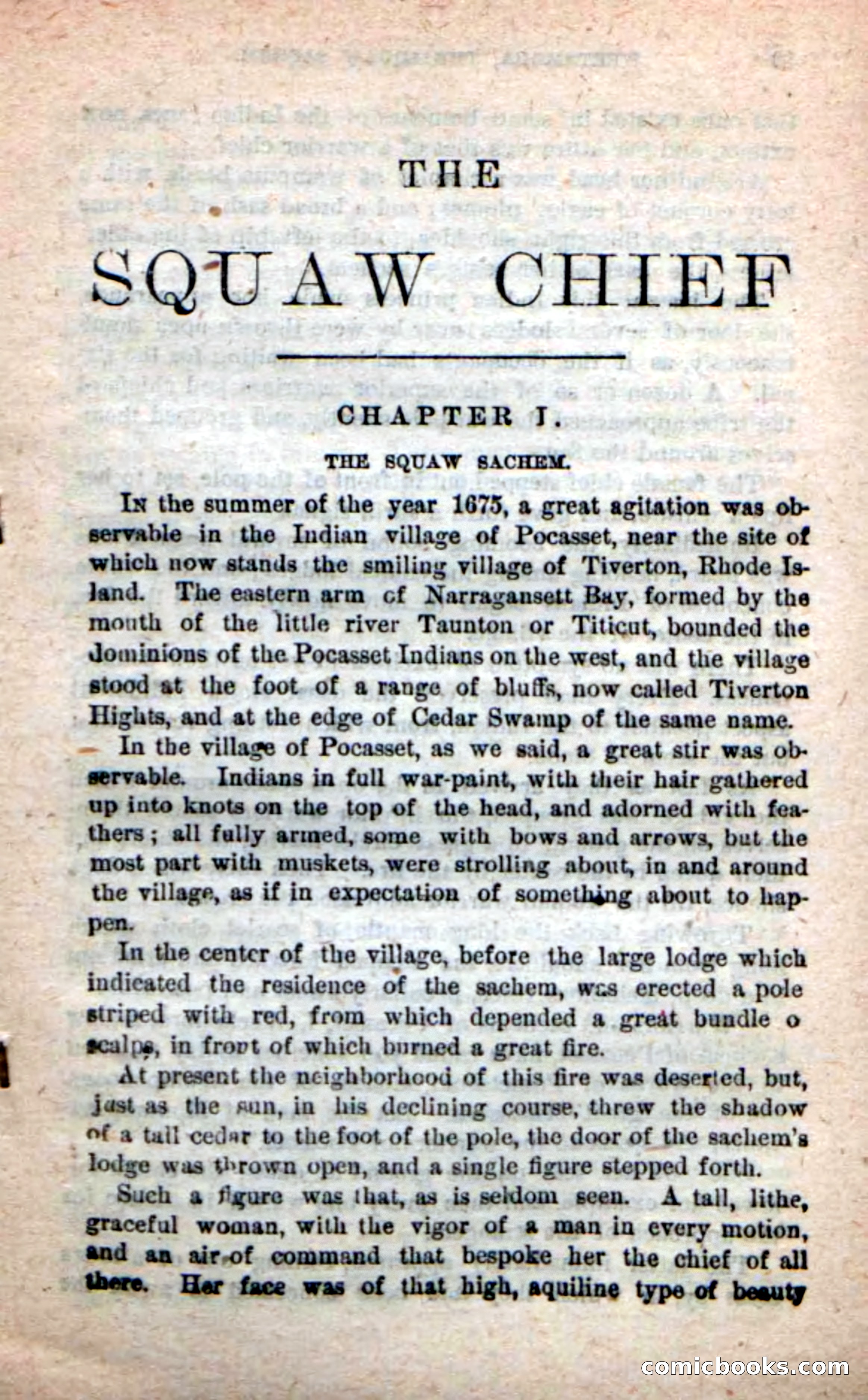 The Squaw Chief — page 5 of 100