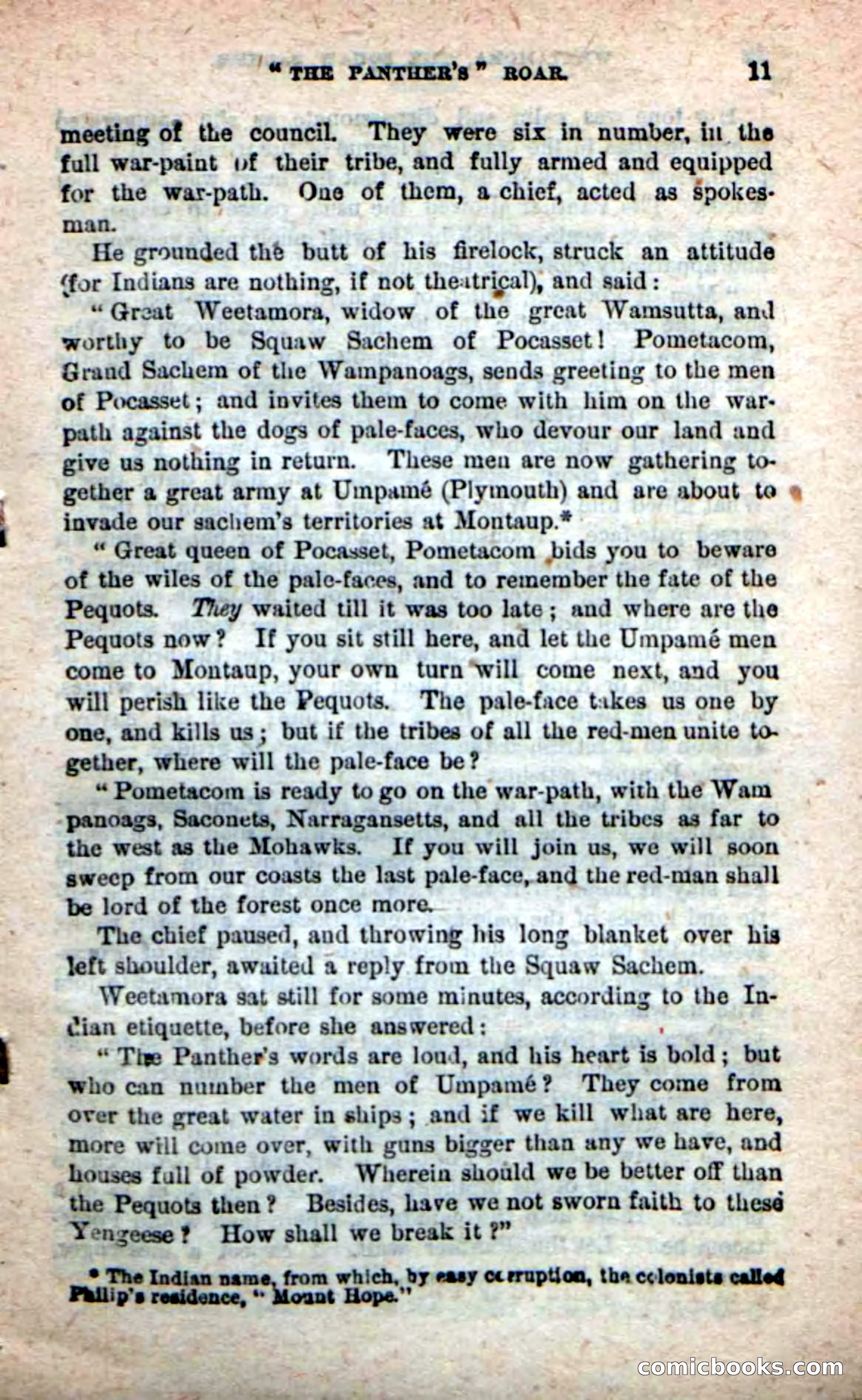 The Squaw Chief — page 7 of 100