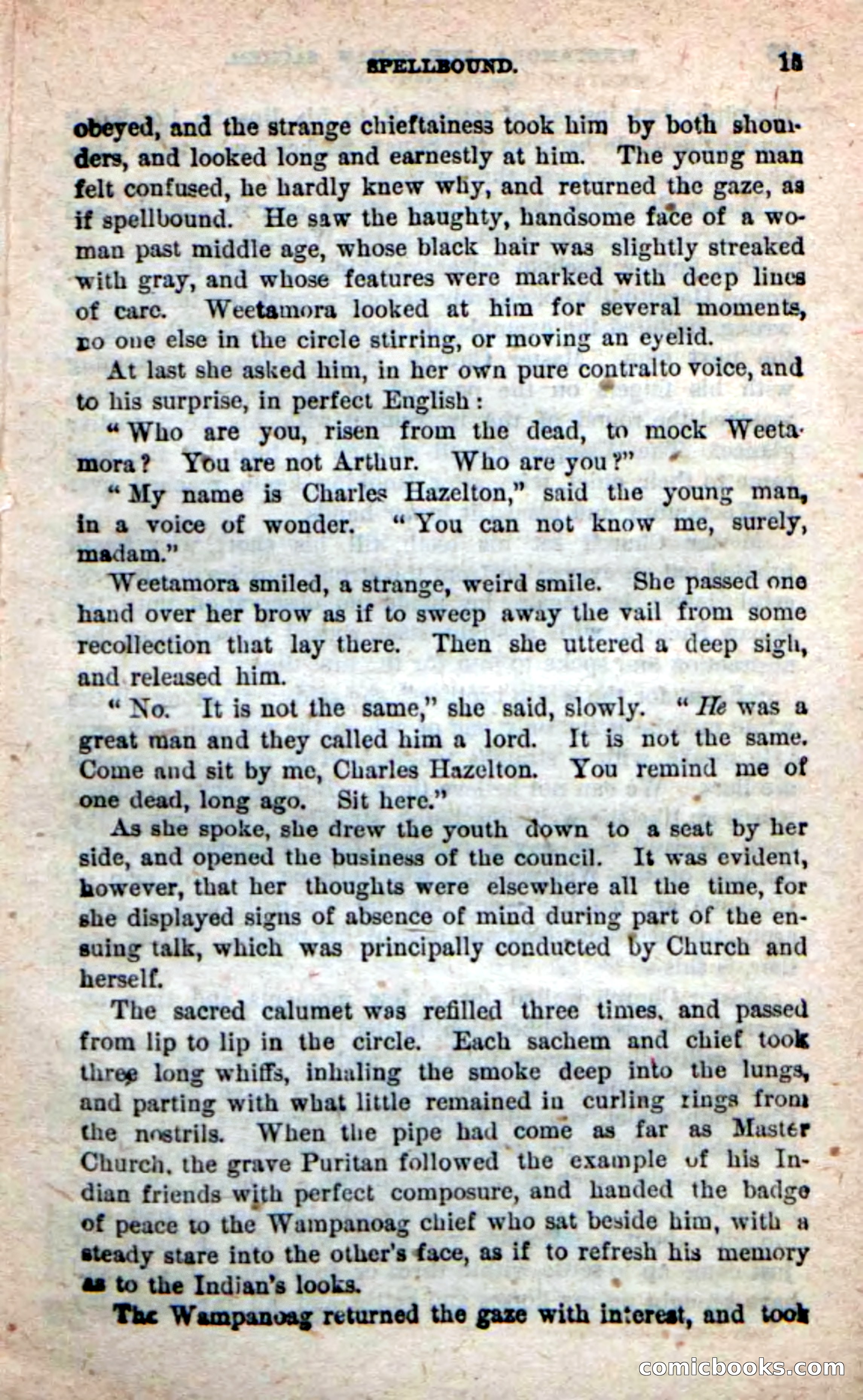 The Squaw Chief — page 11 of 100