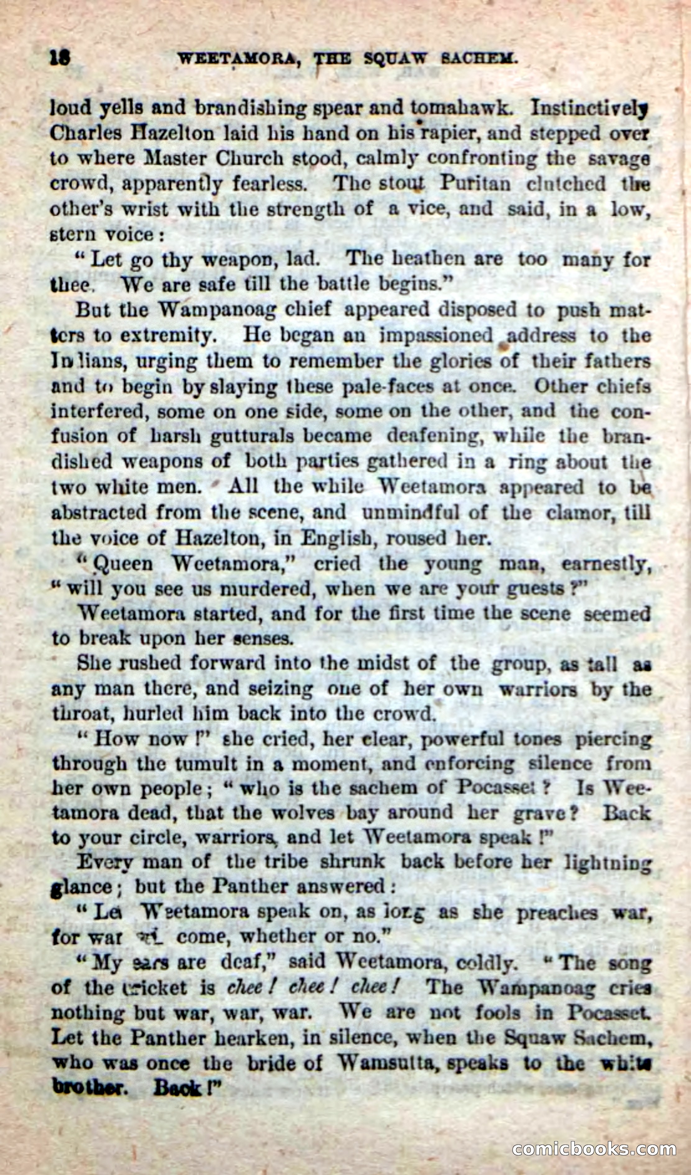 The Squaw Chief — page 14 of 100