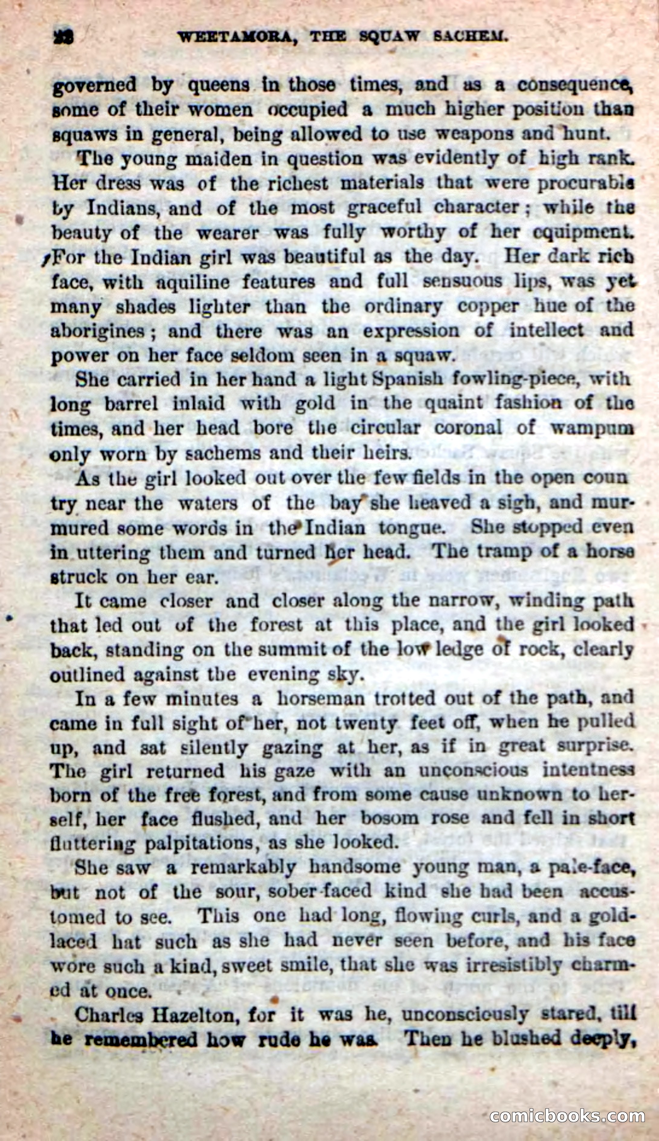 The Squaw Chief — page 18 of 100