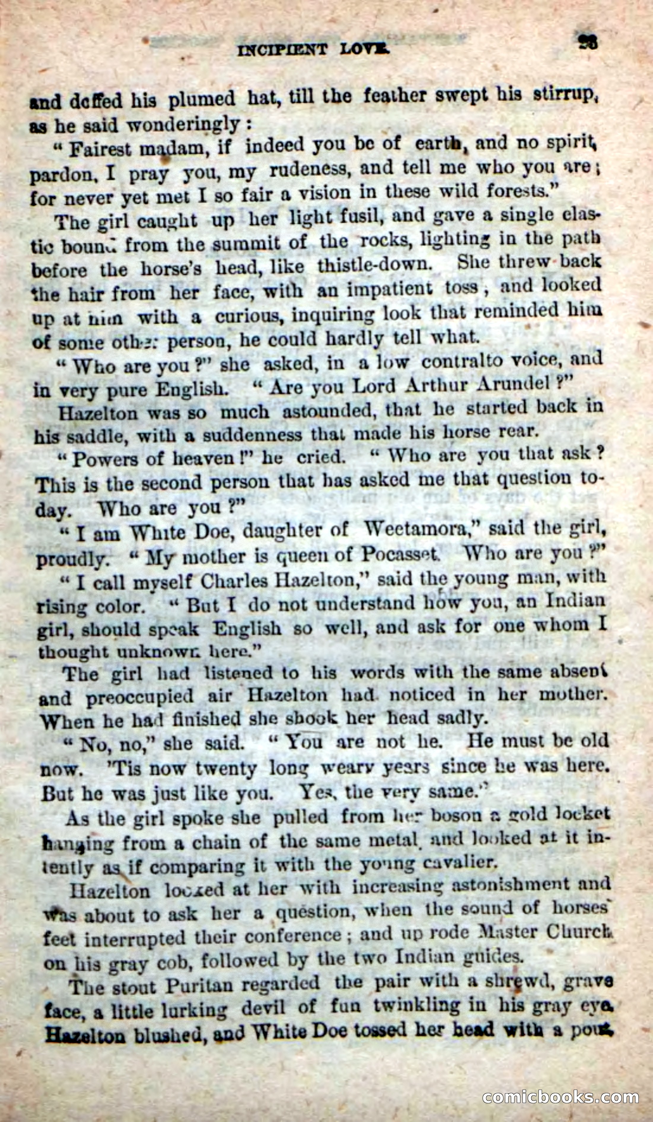 The Squaw Chief — page 19 of 100