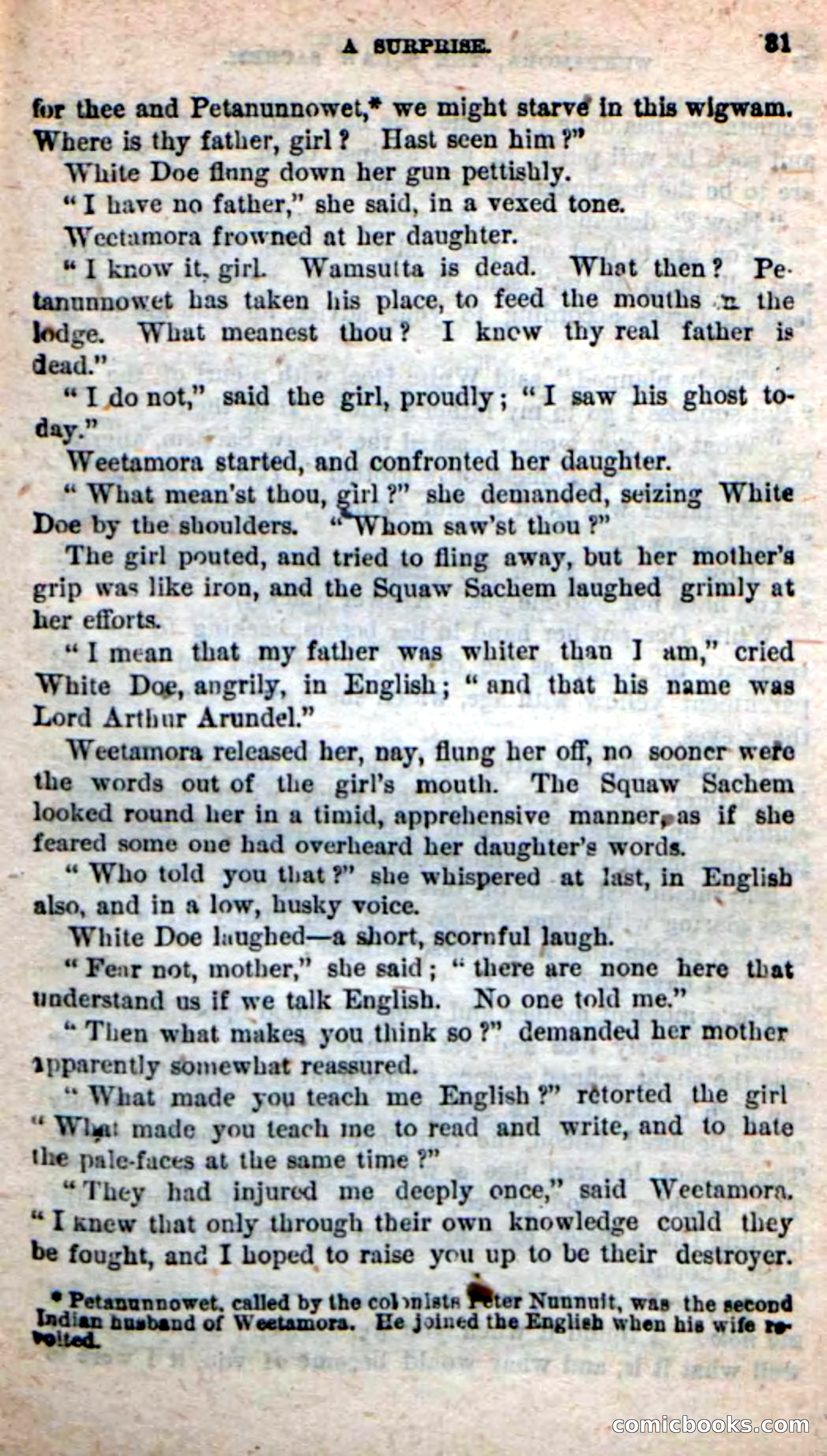 The Squaw Chief — page 27 of 100