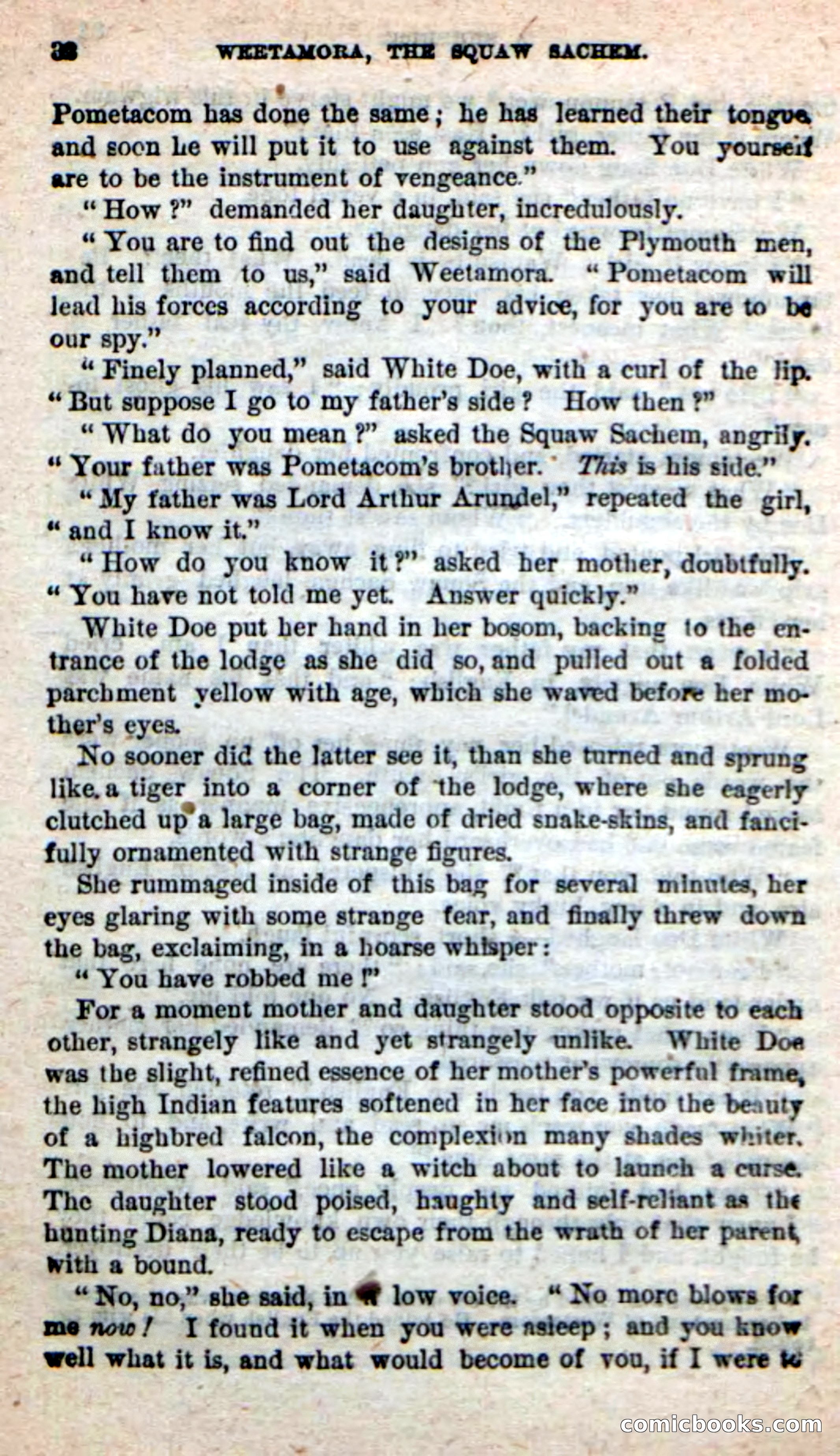 The Squaw Chief — page 28 of 100