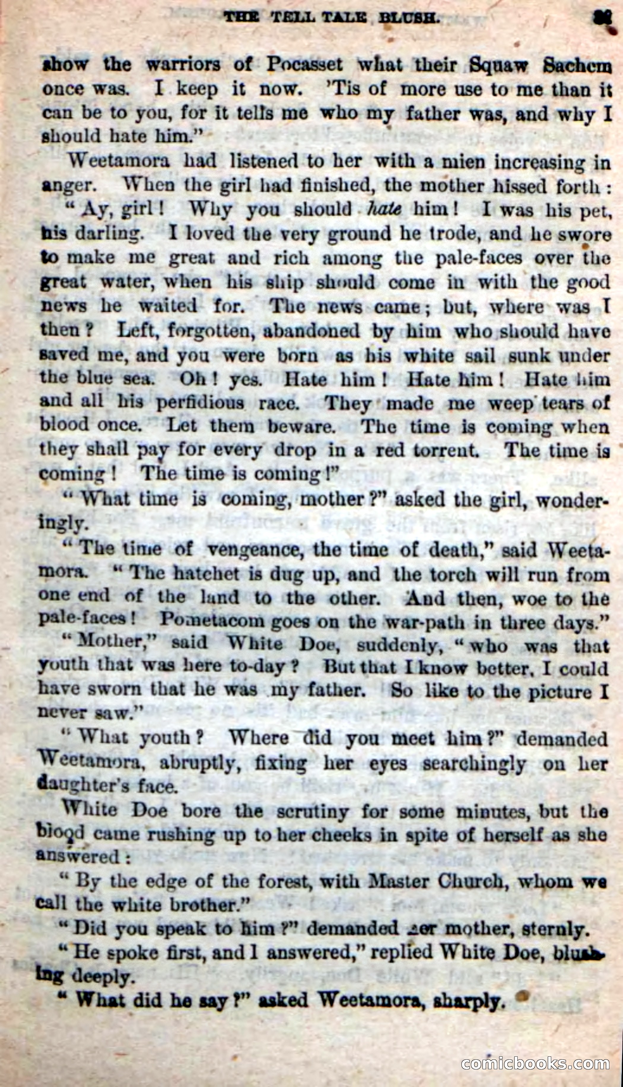 The Squaw Chief — page 29 of 100