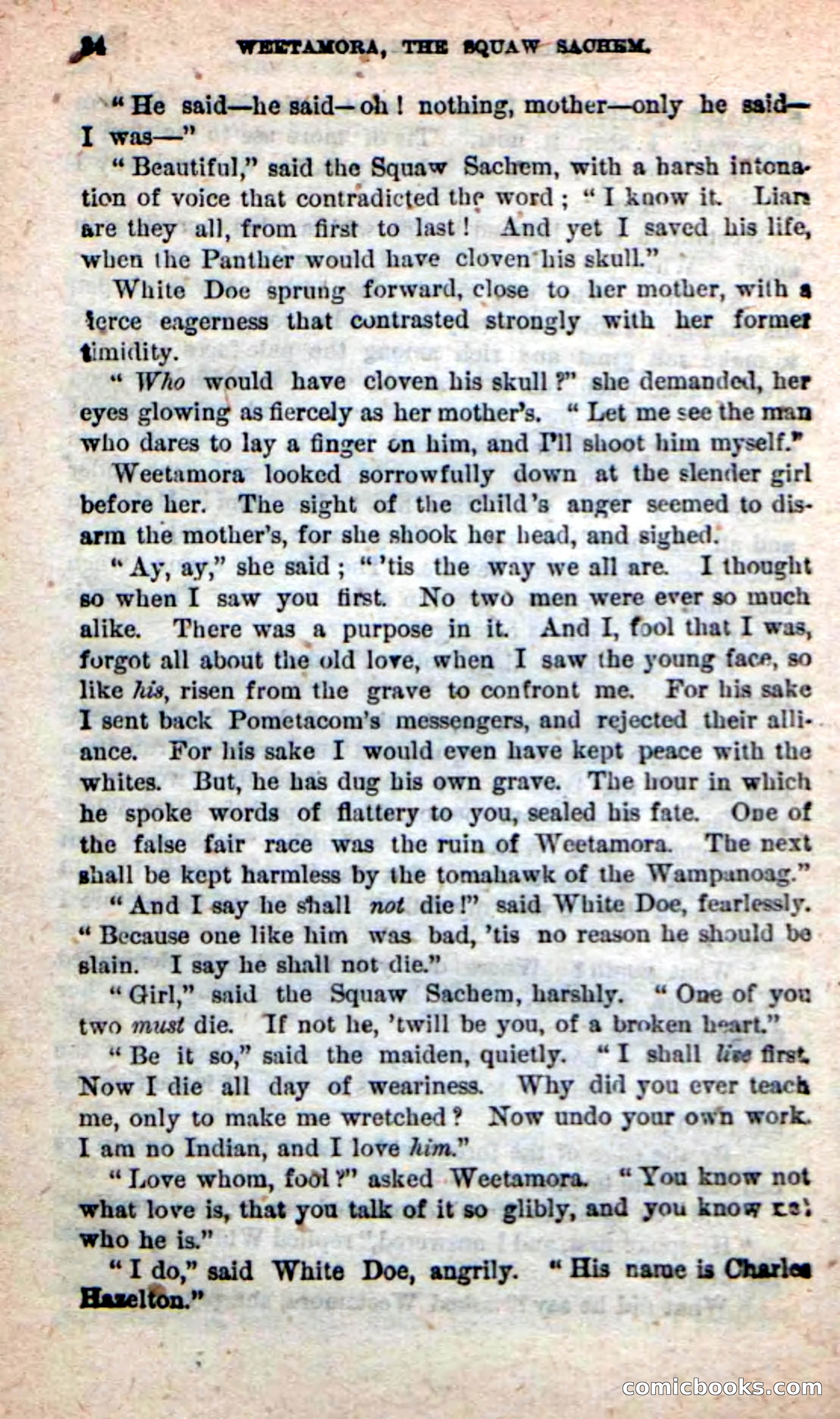 The Squaw Chief — page 30 of 100