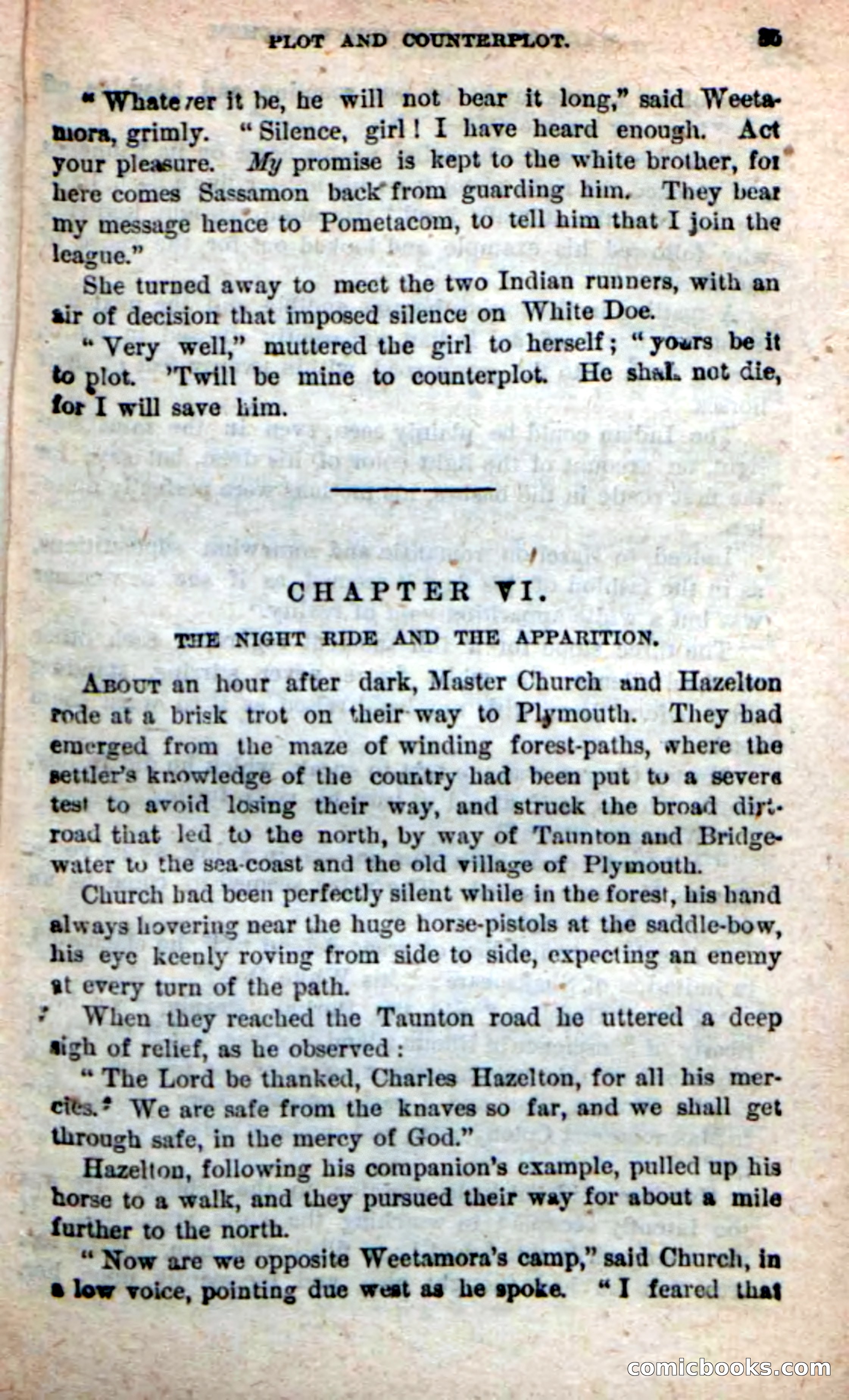 The Squaw Chief — page 31 of 100
