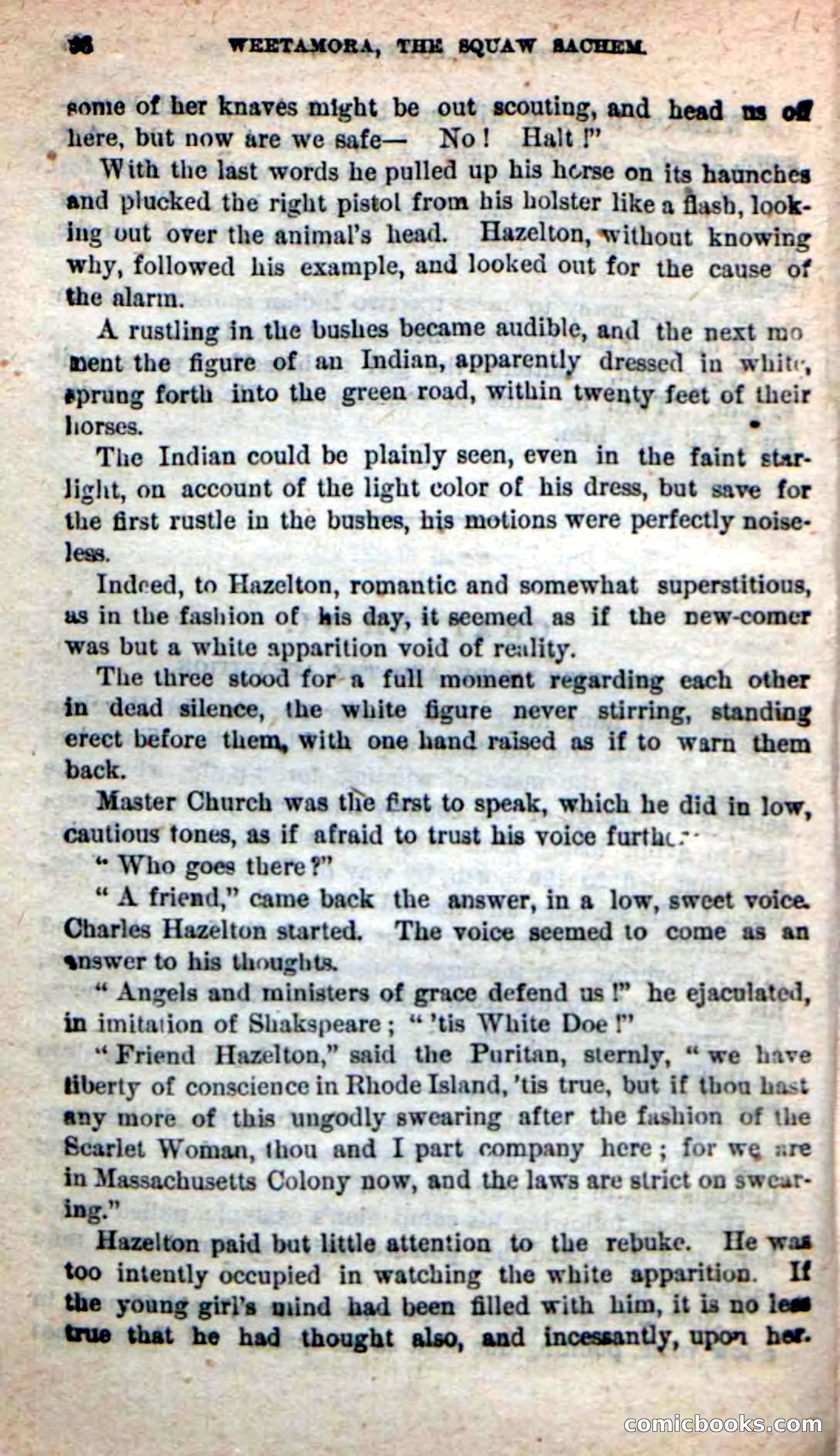 The Squaw Chief — page 32 of 100