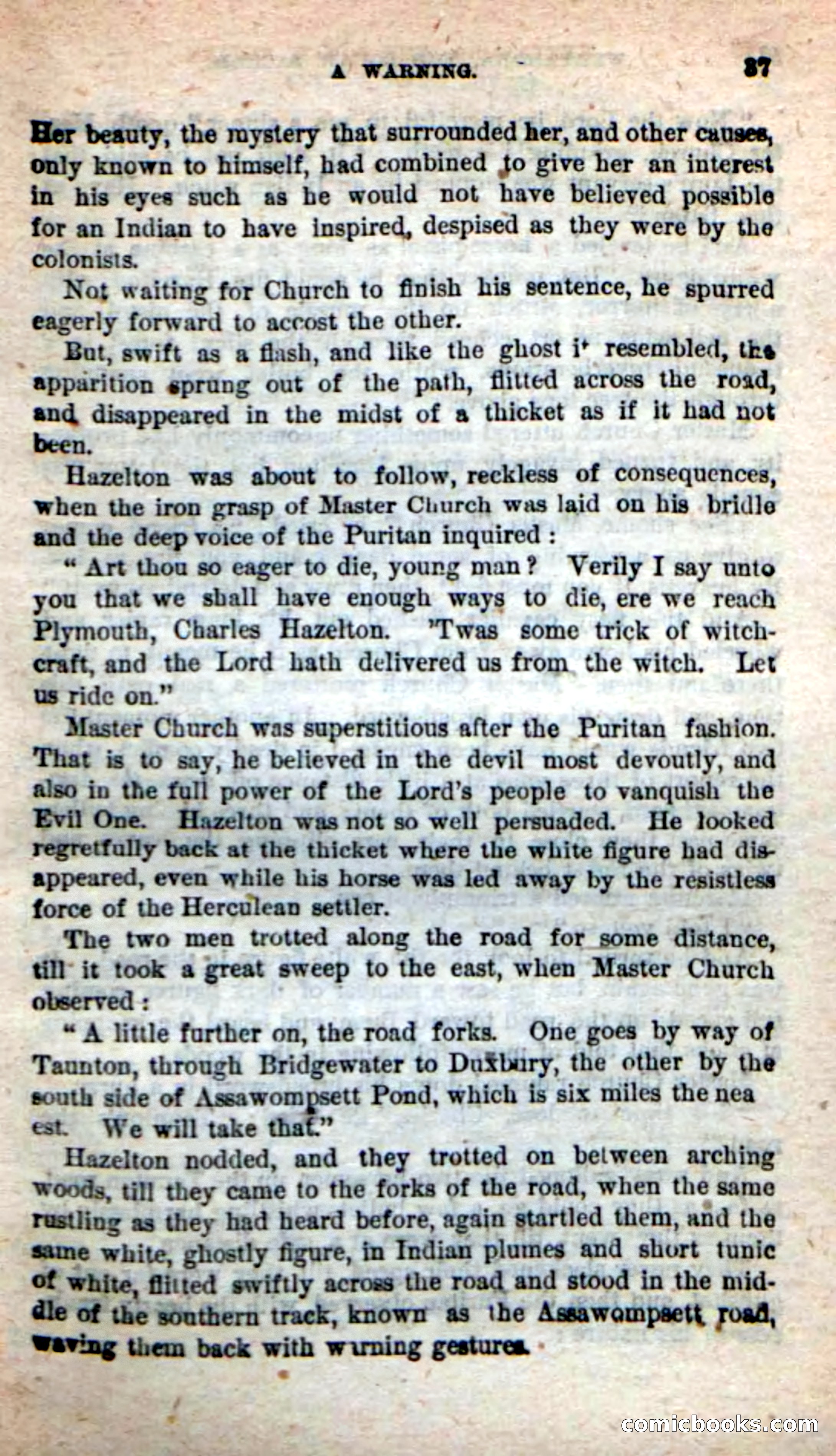 The Squaw Chief — page 33 of 100