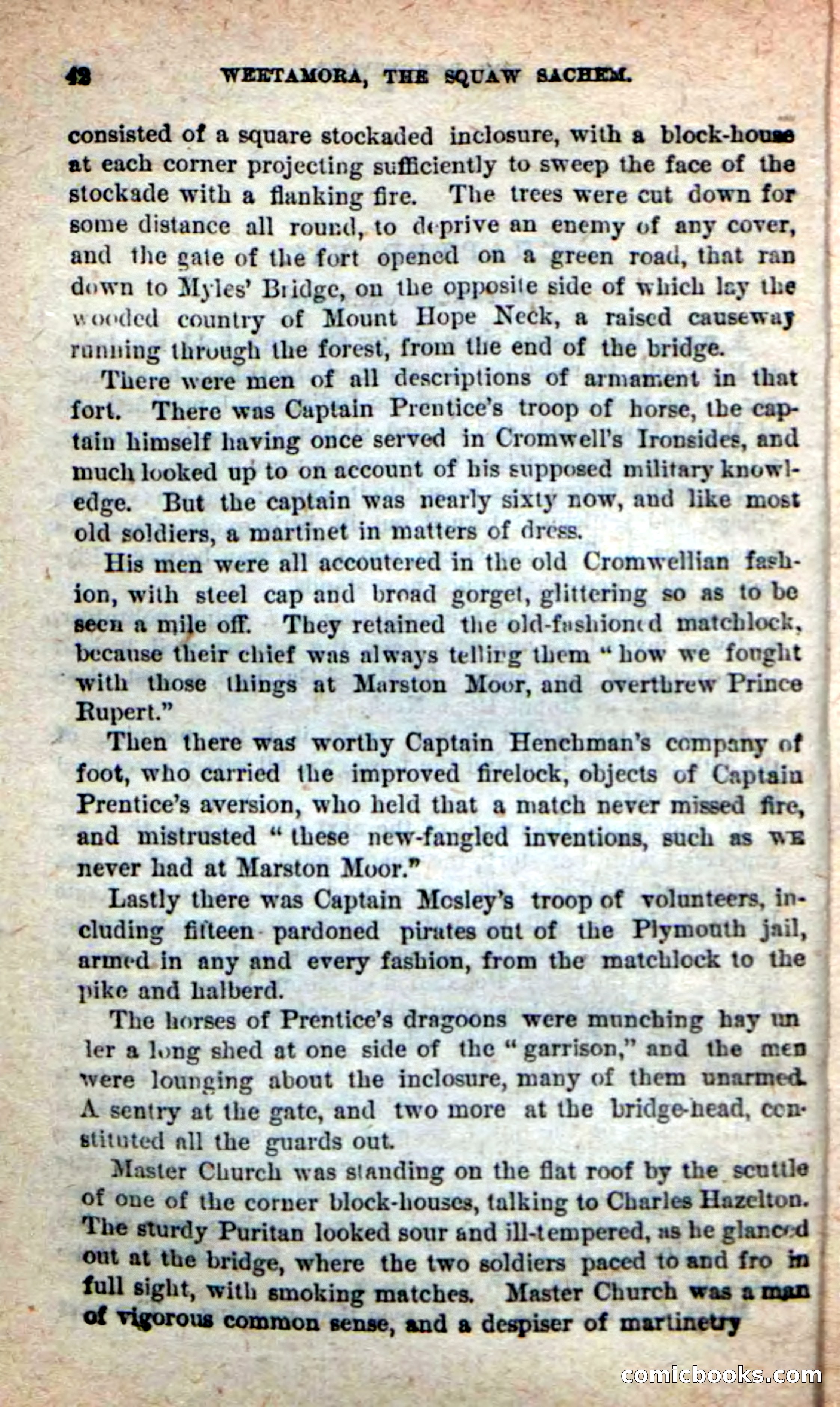 The Squaw Chief — page 38 of 100