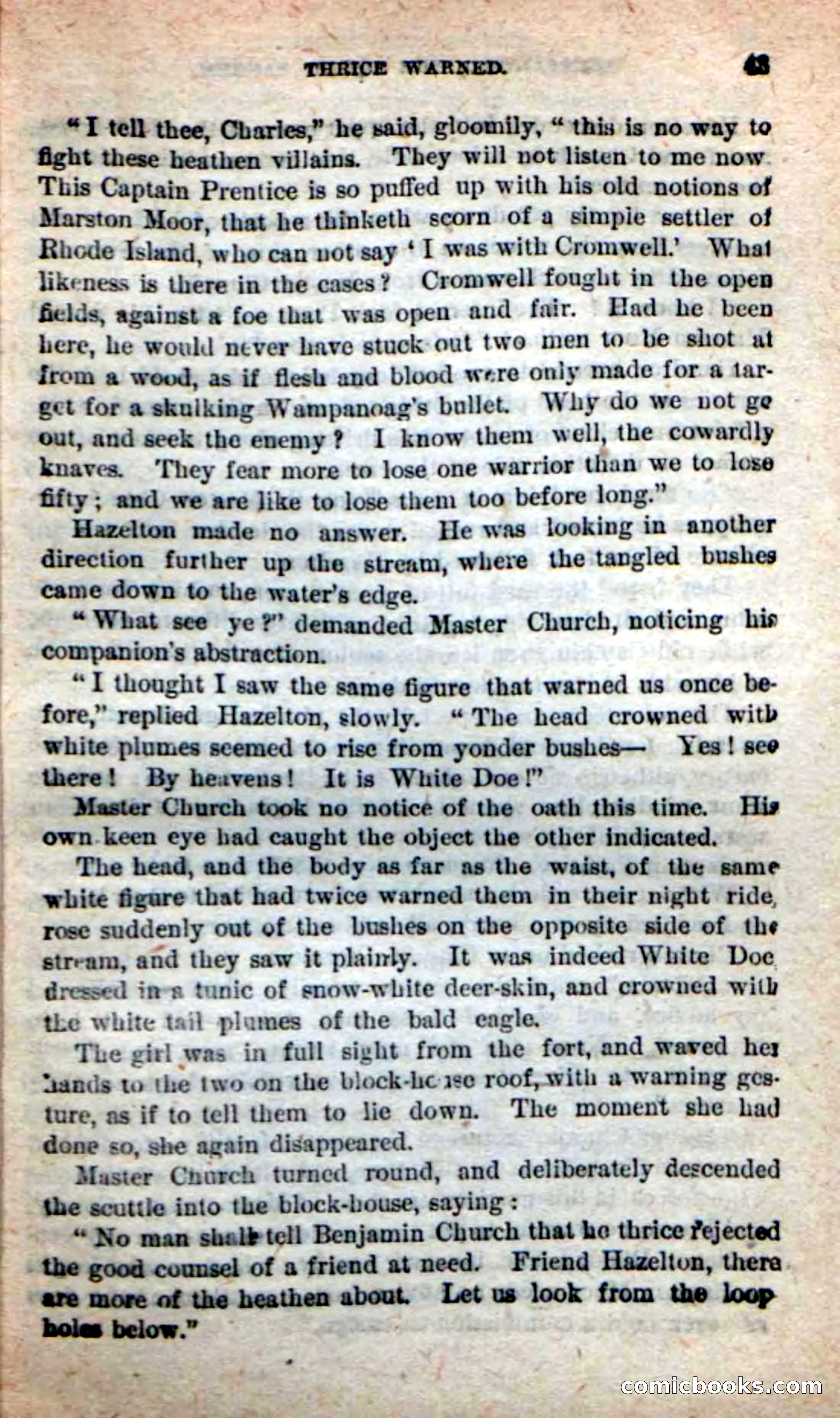 The Squaw Chief — page 39 of 100