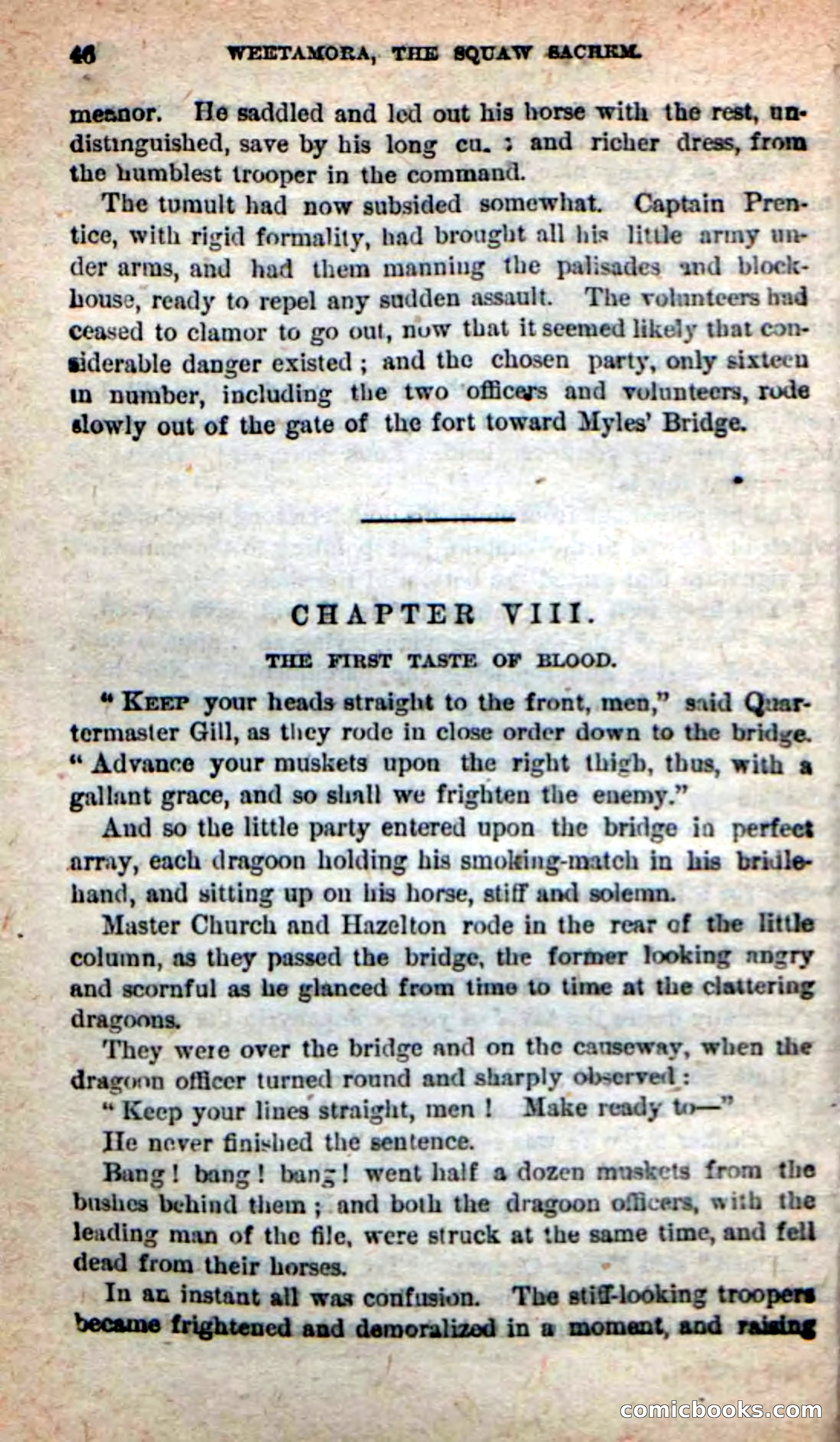The Squaw Chief — page 42 of 100