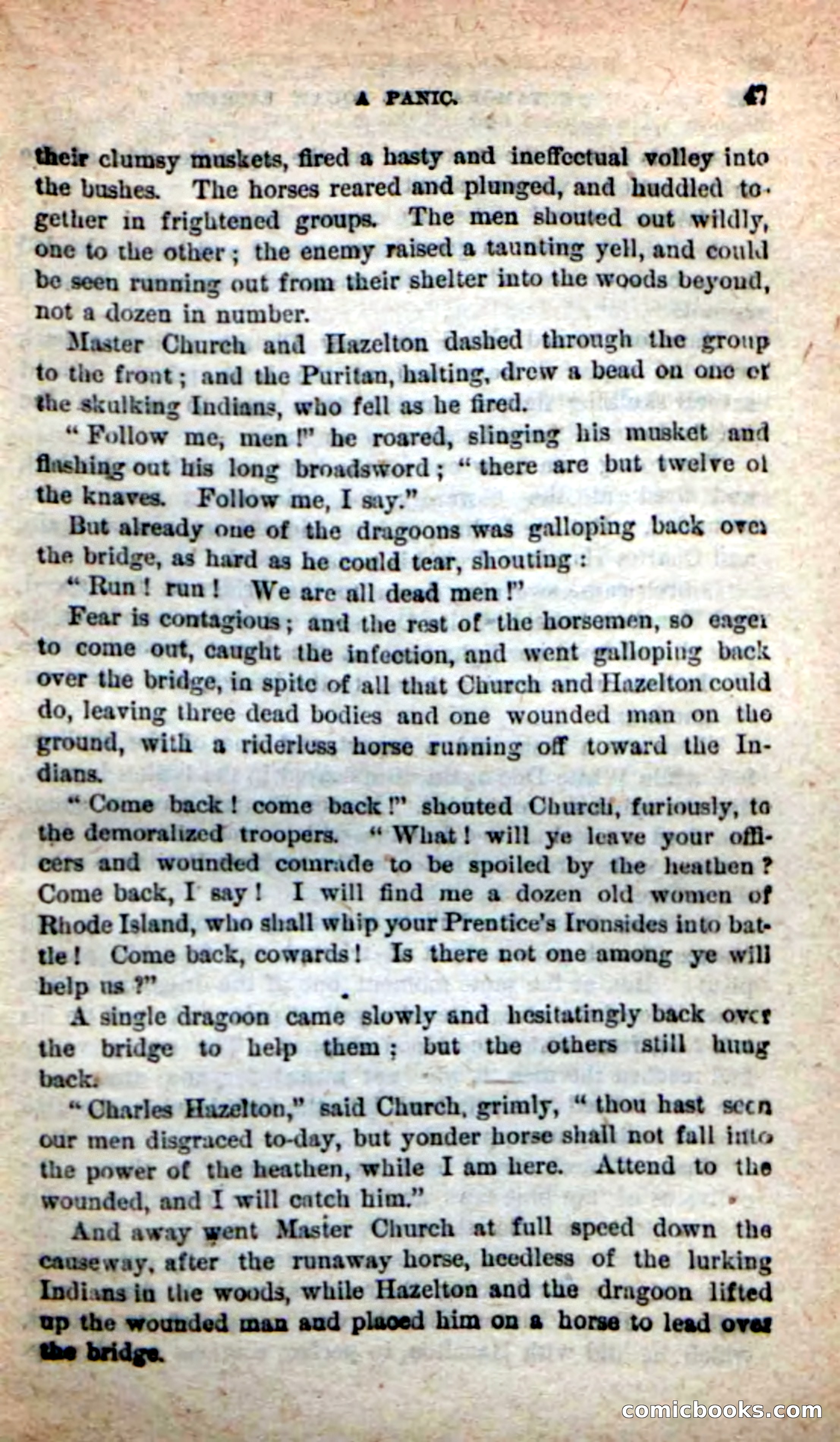 The Squaw Chief — page 43 of 100