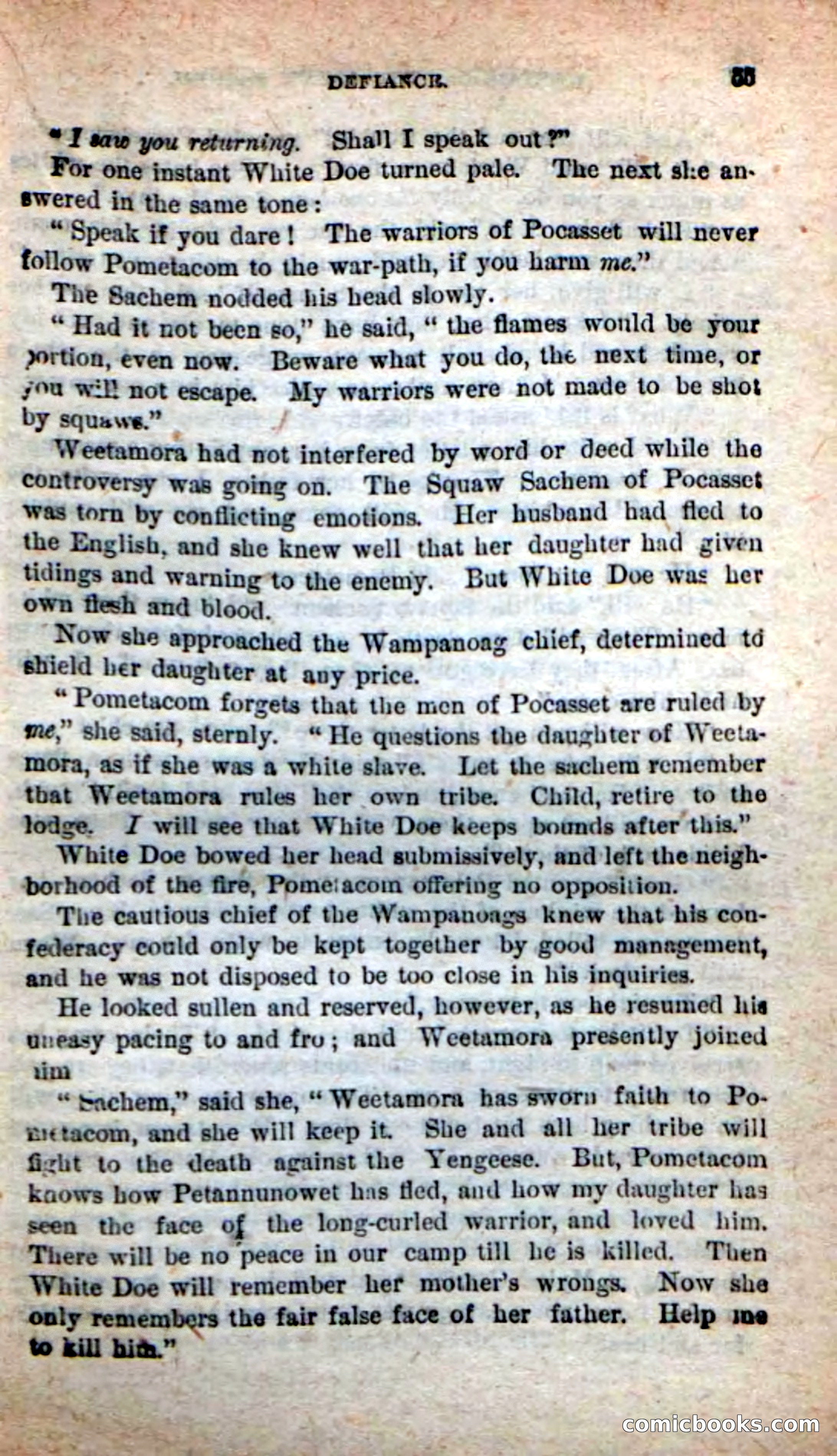The Squaw Chief — page 51 of 100