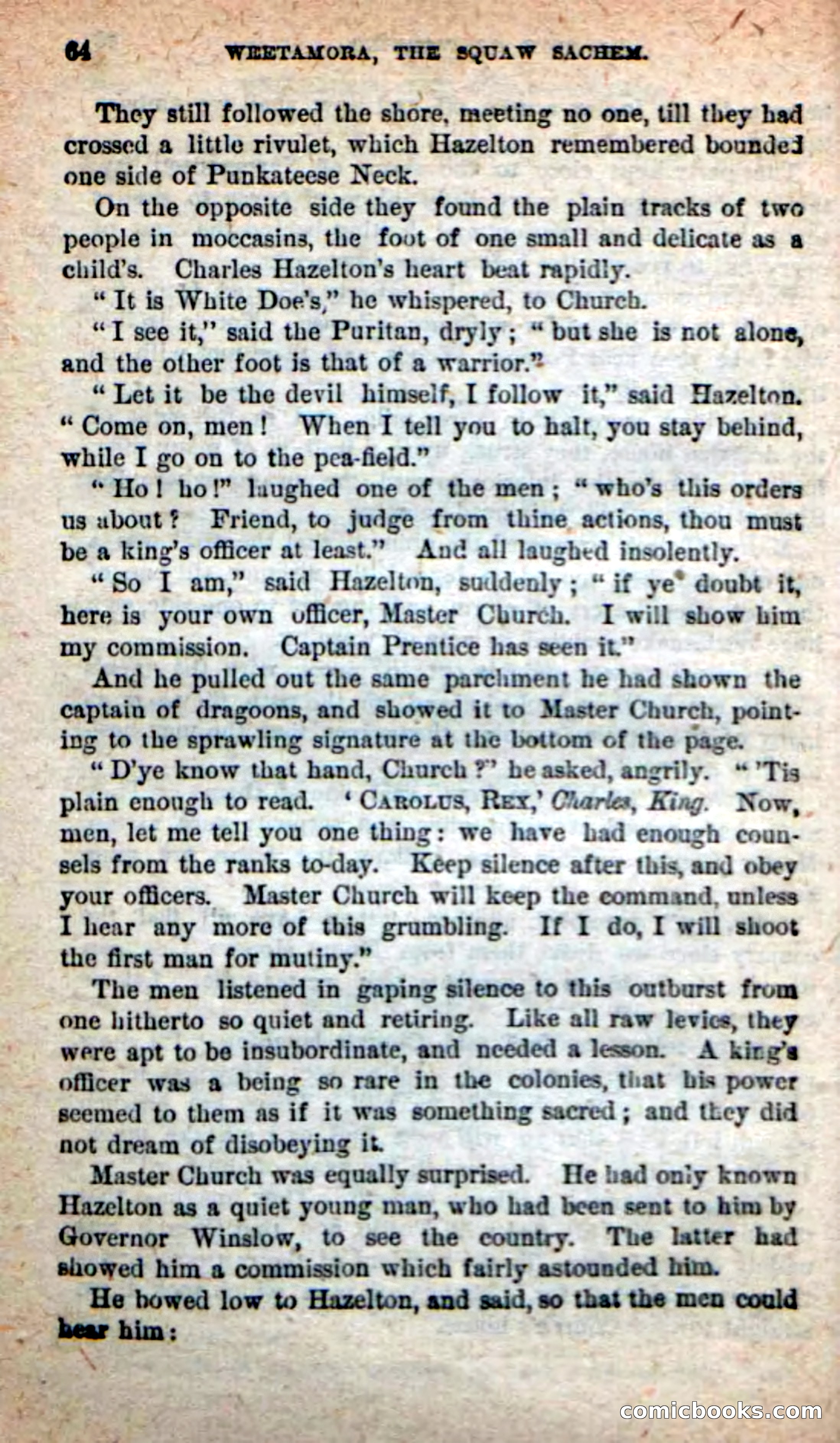 The Squaw Chief — page 60 of 100
