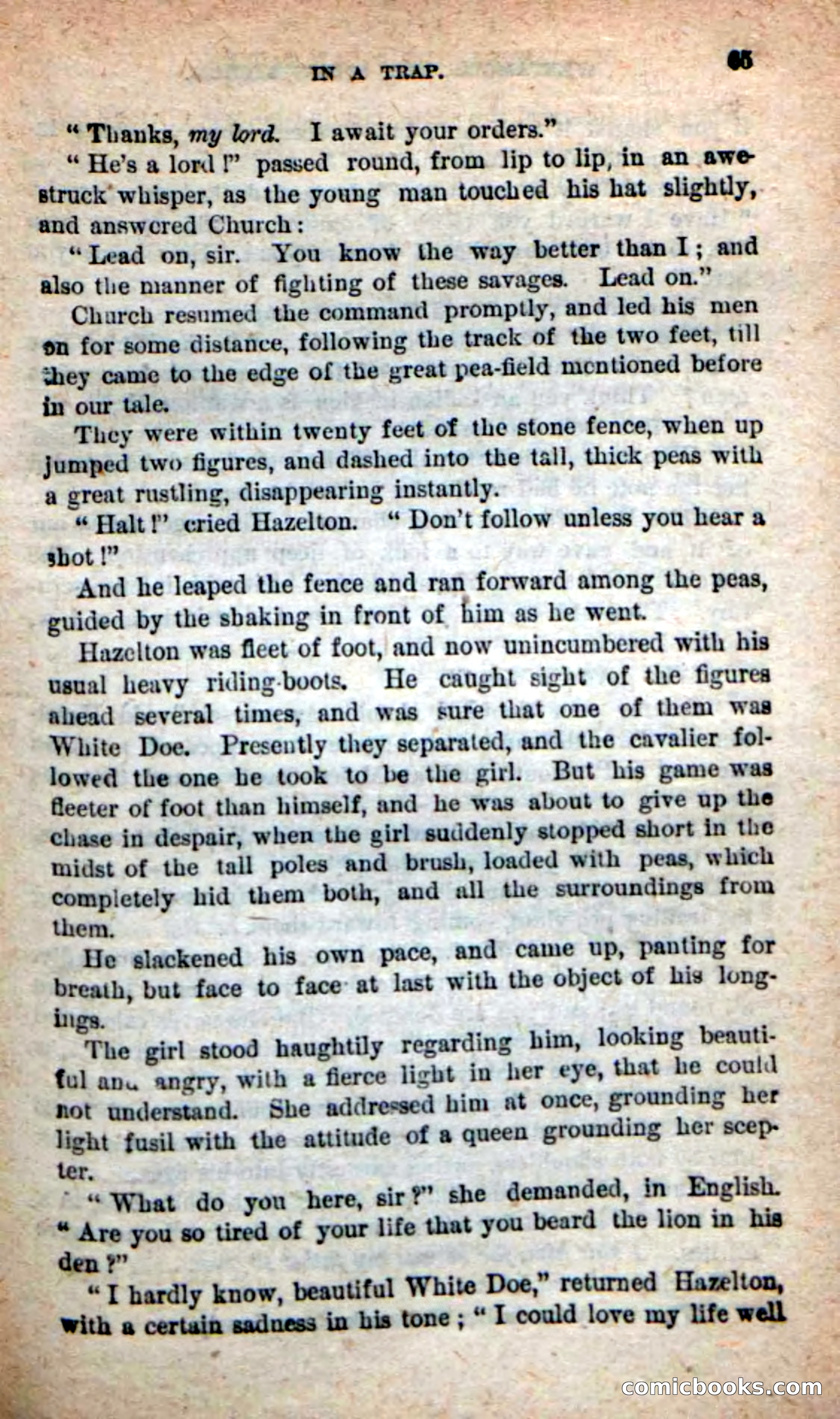 The Squaw Chief — page 61 of 100