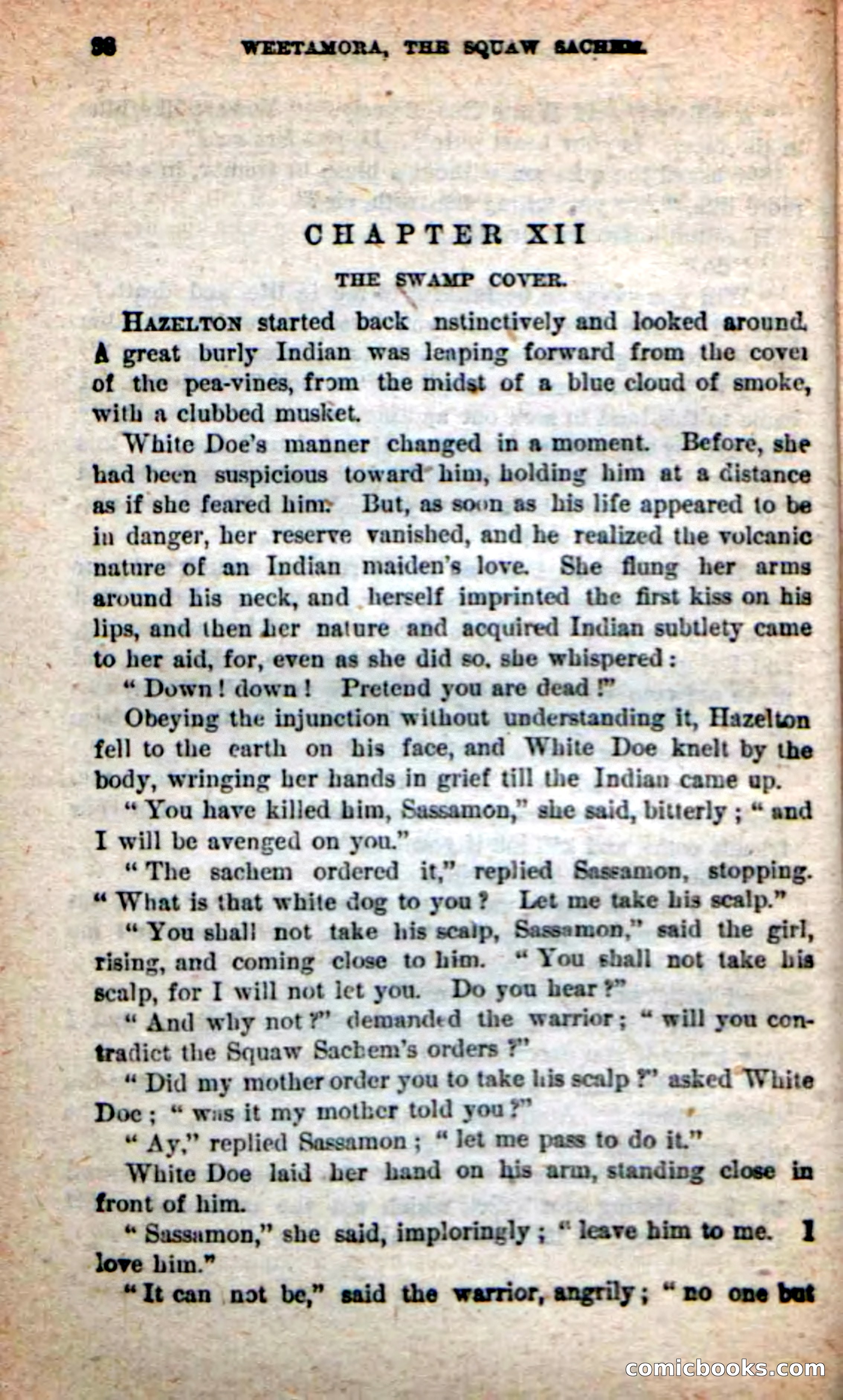 The Squaw Chief — page 64 of 100