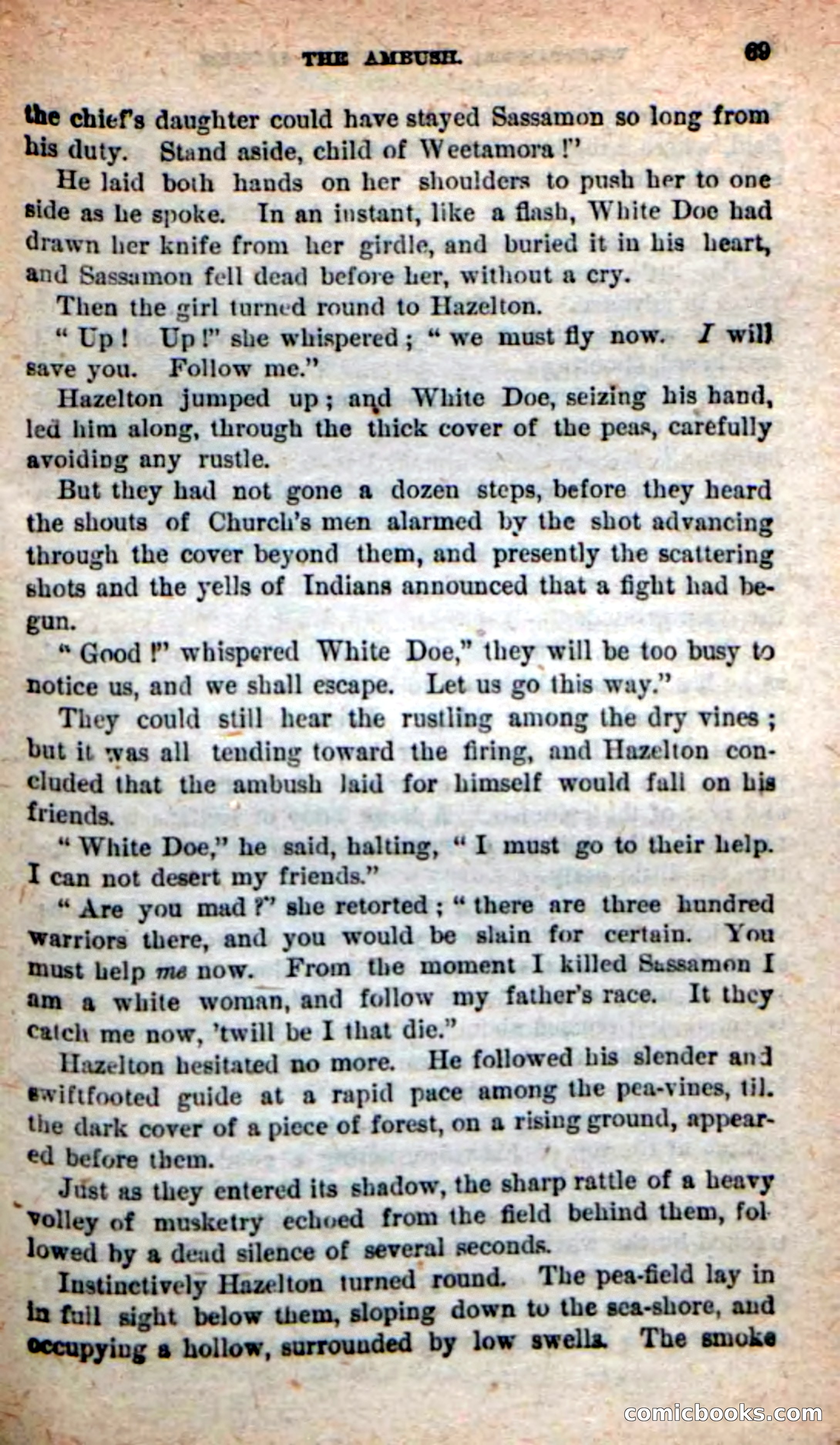 The Squaw Chief — page 65 of 100