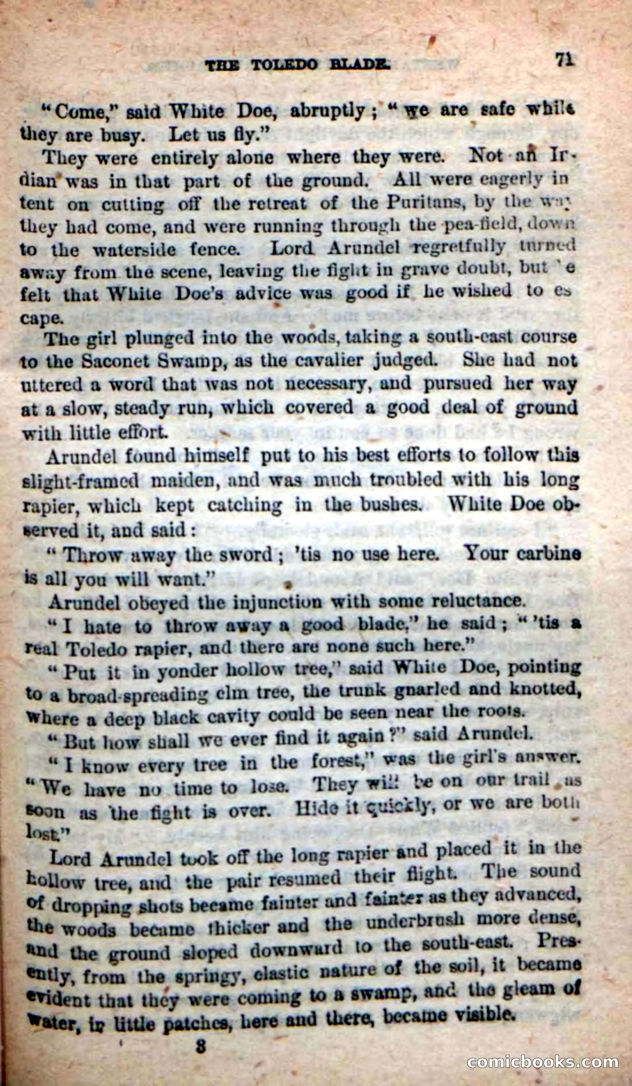 The Squaw Chief — page 67 of 100
