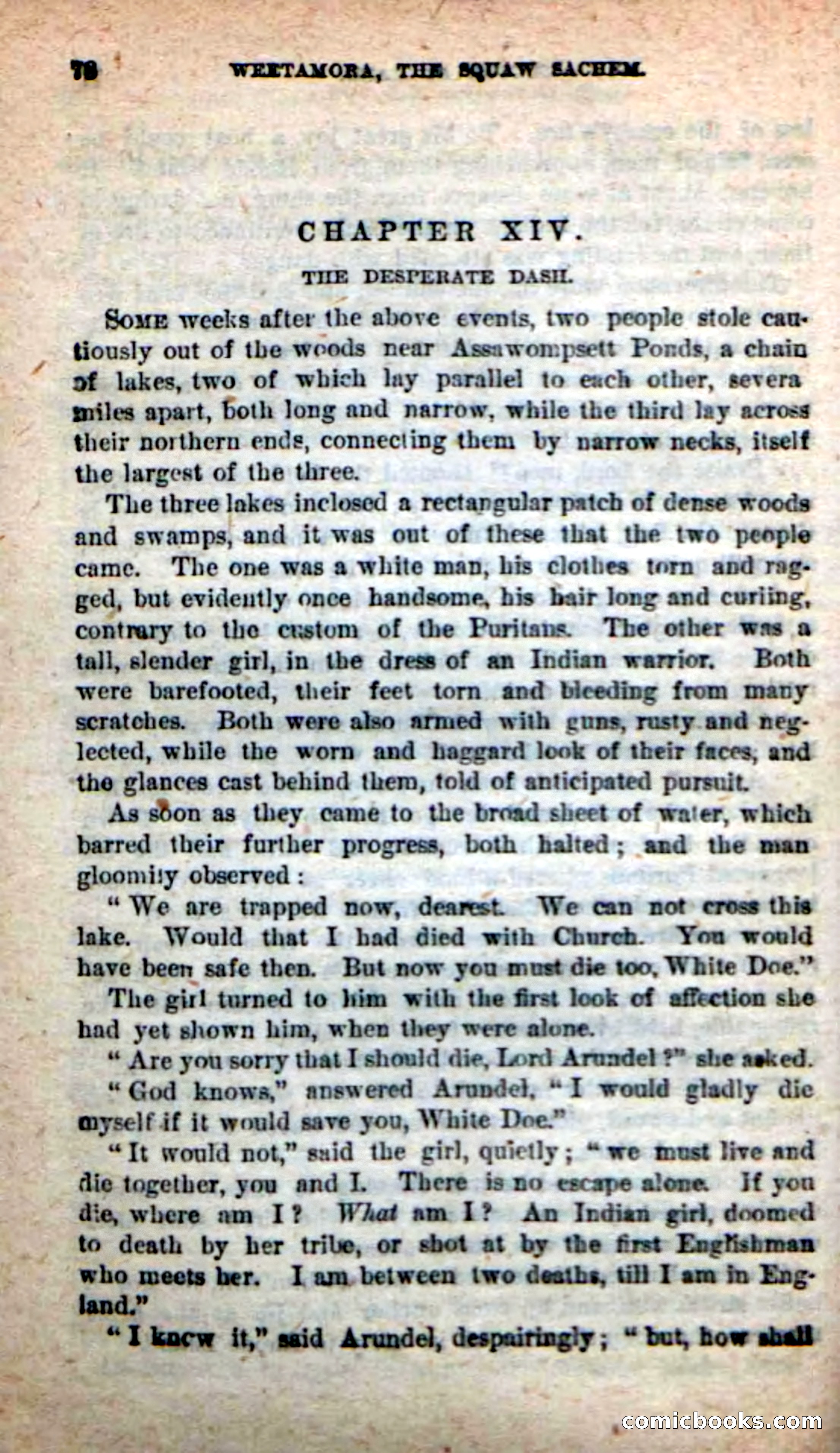 The Squaw Chief — page 74 of 100