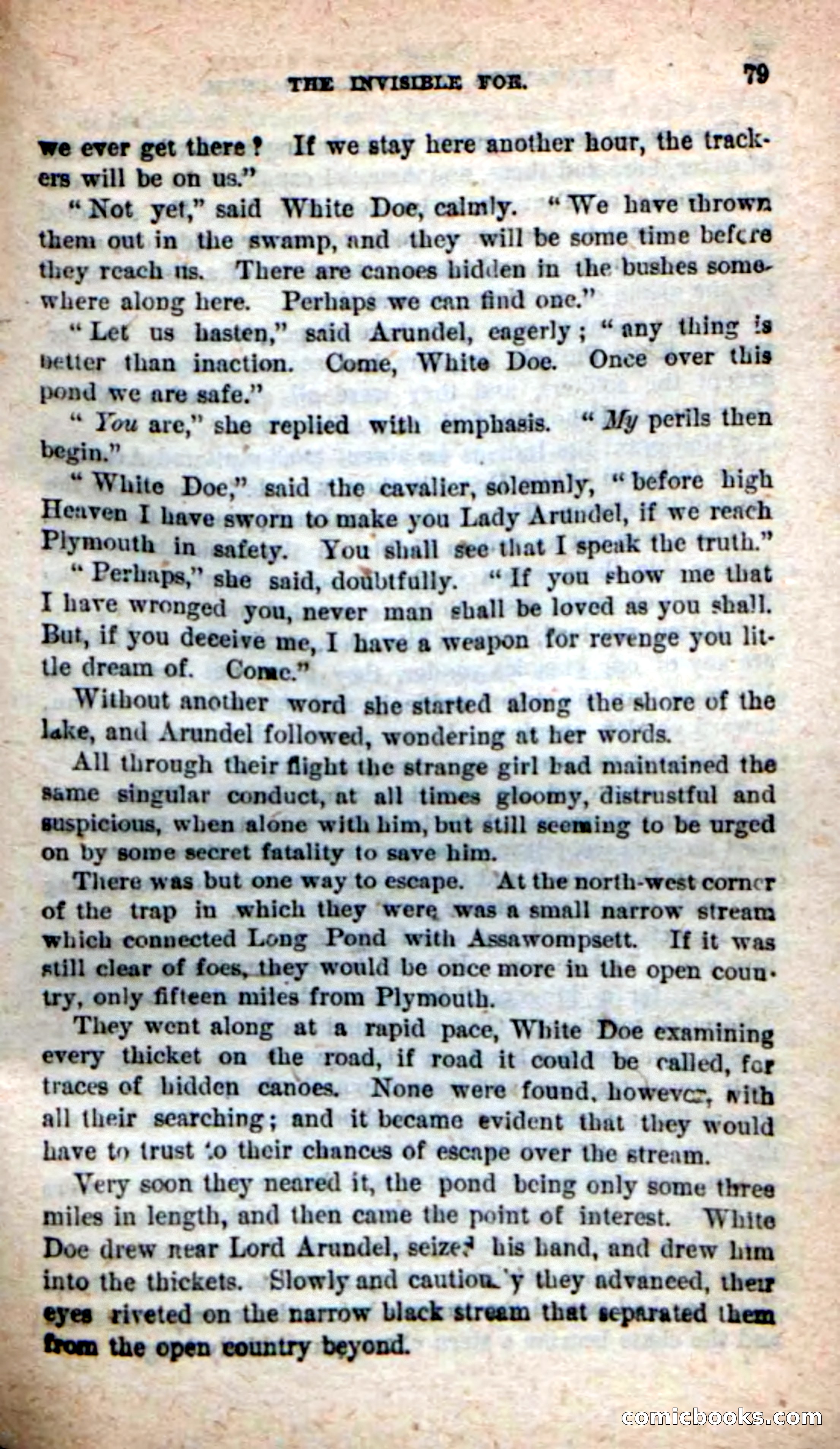 The Squaw Chief — page 75 of 100