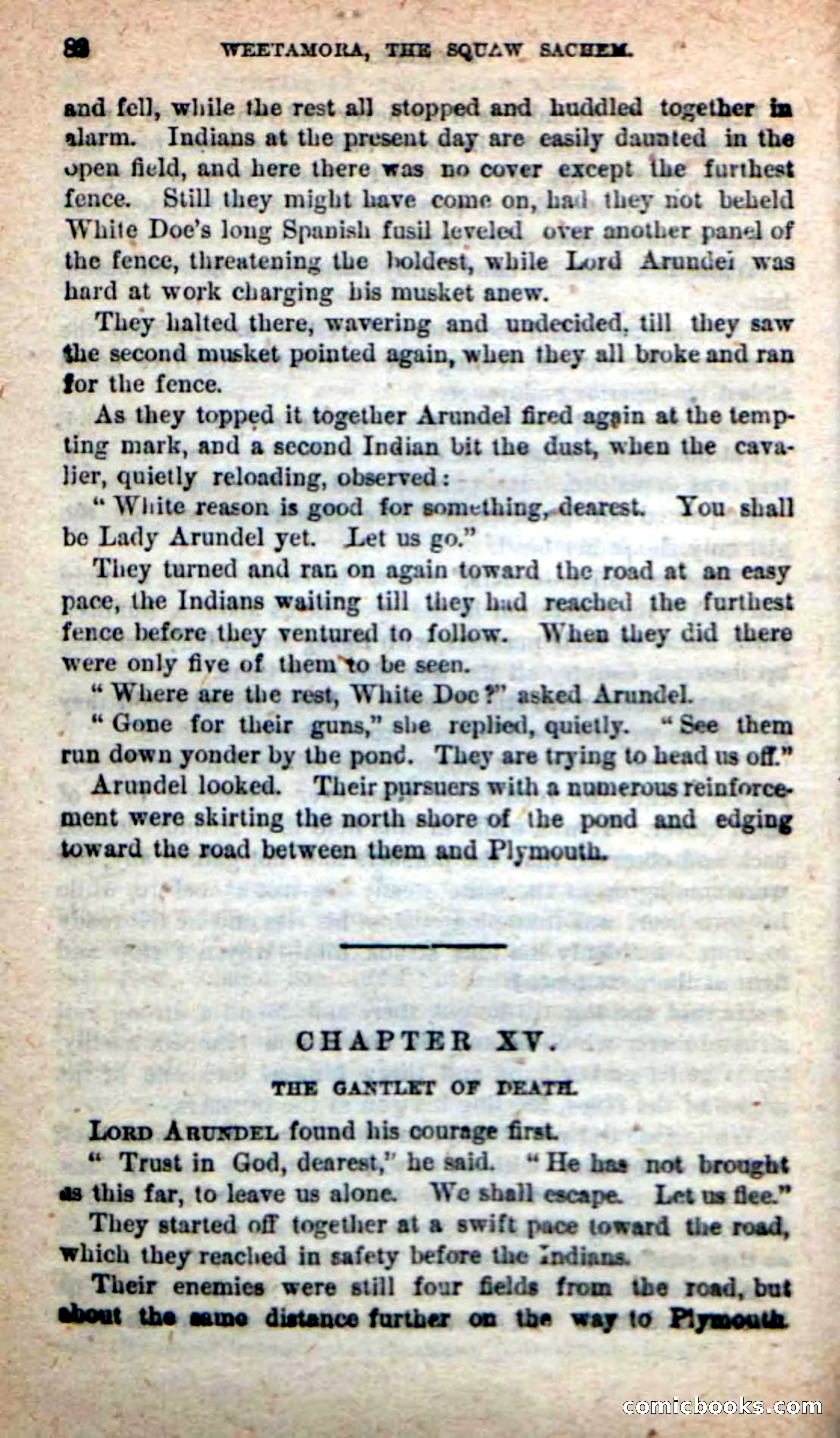 The Squaw Chief — page 78 of 100