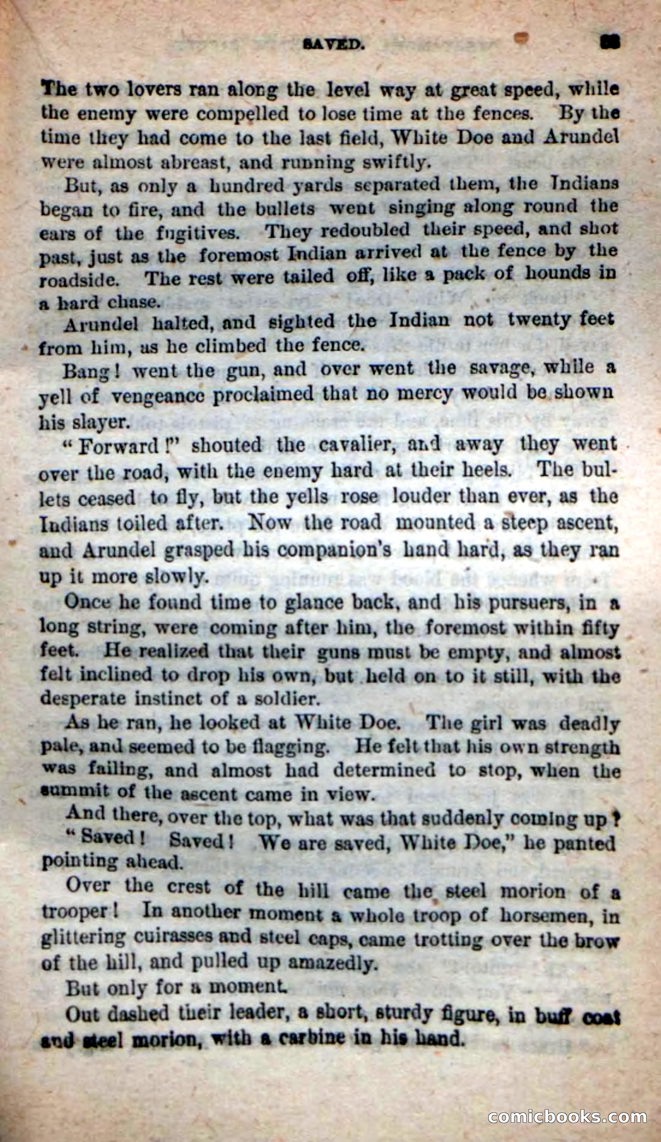 The Squaw Chief — page 79 of 100