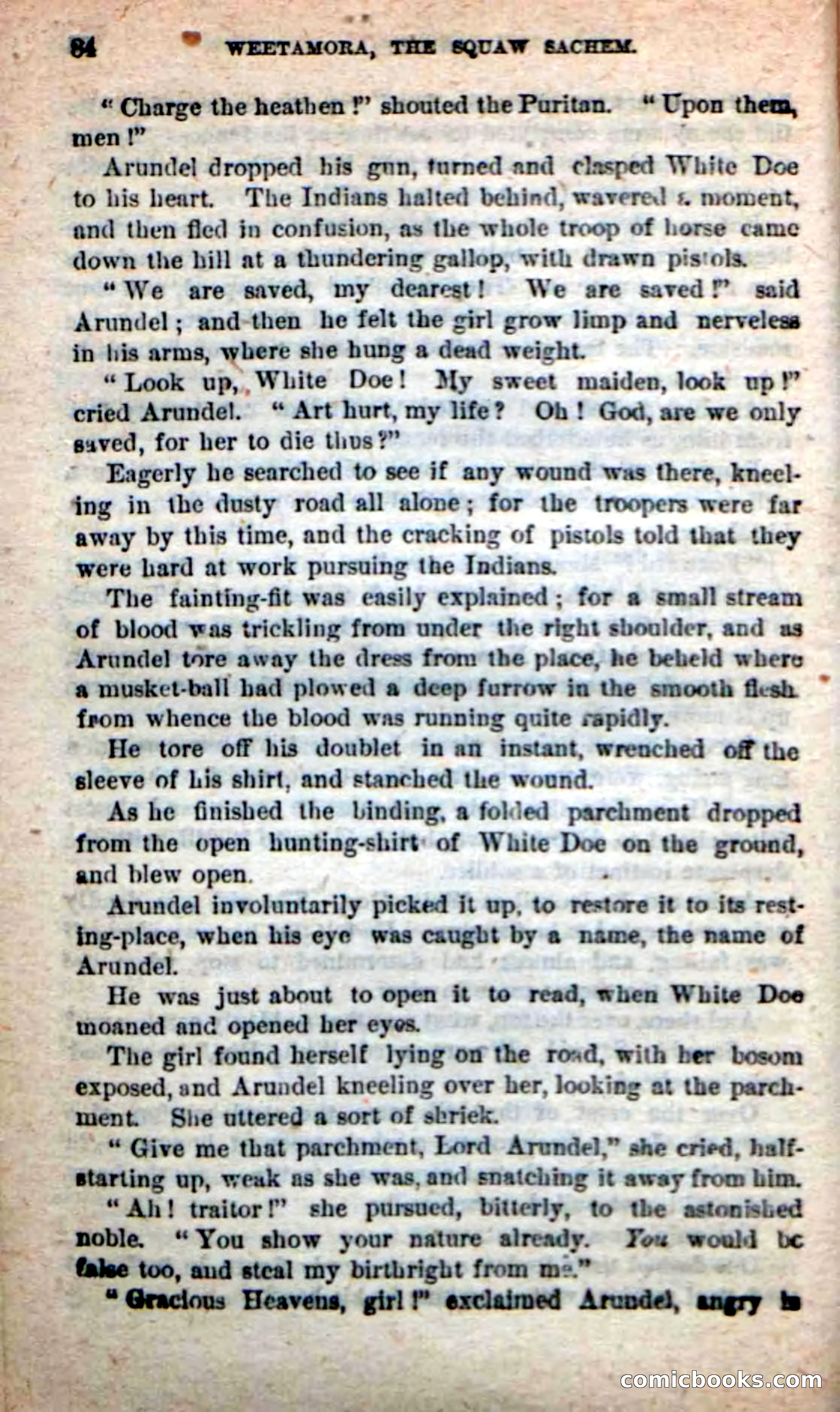 The Squaw Chief — page 80 of 100