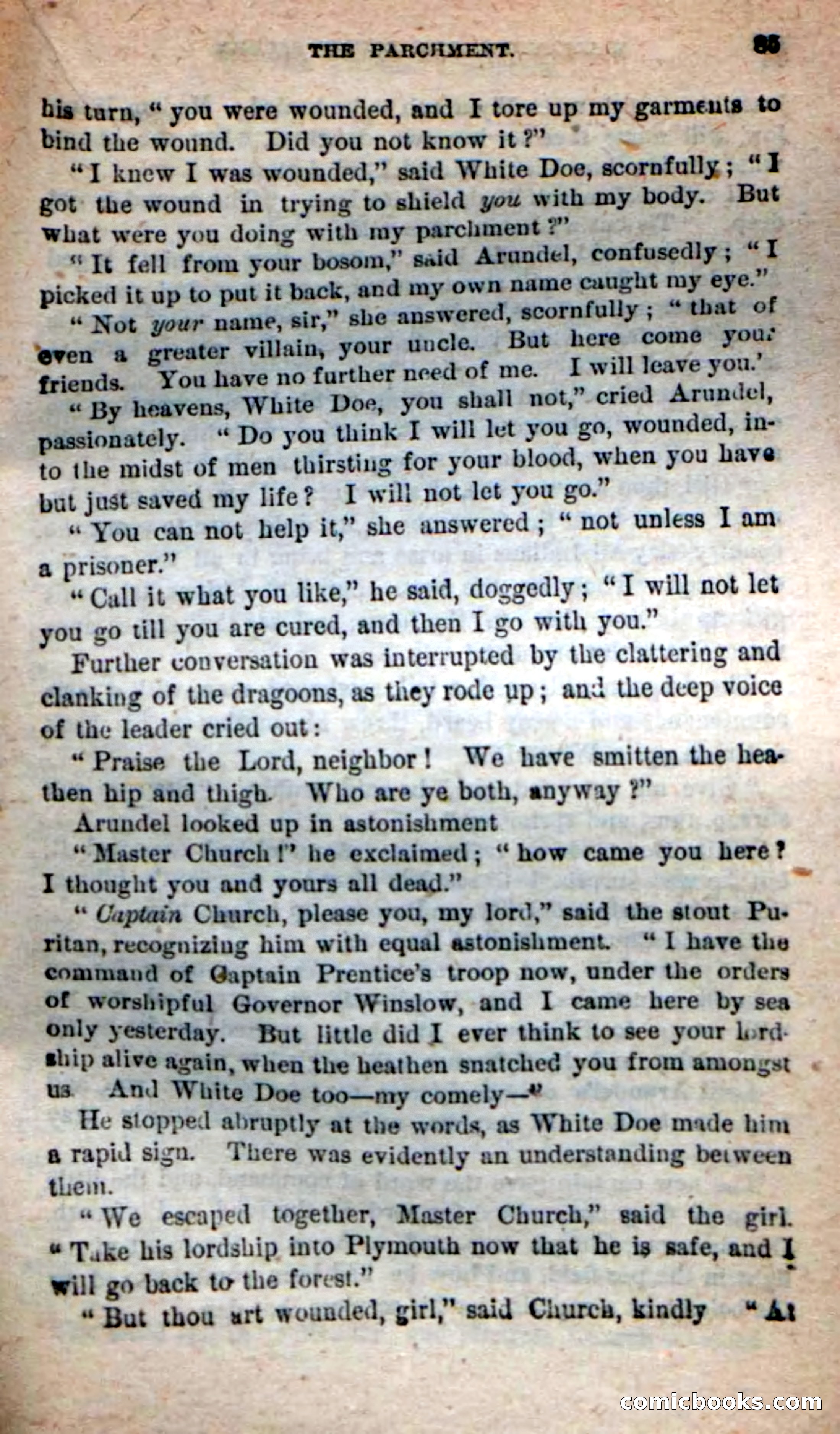 The Squaw Chief — page 81 of 100