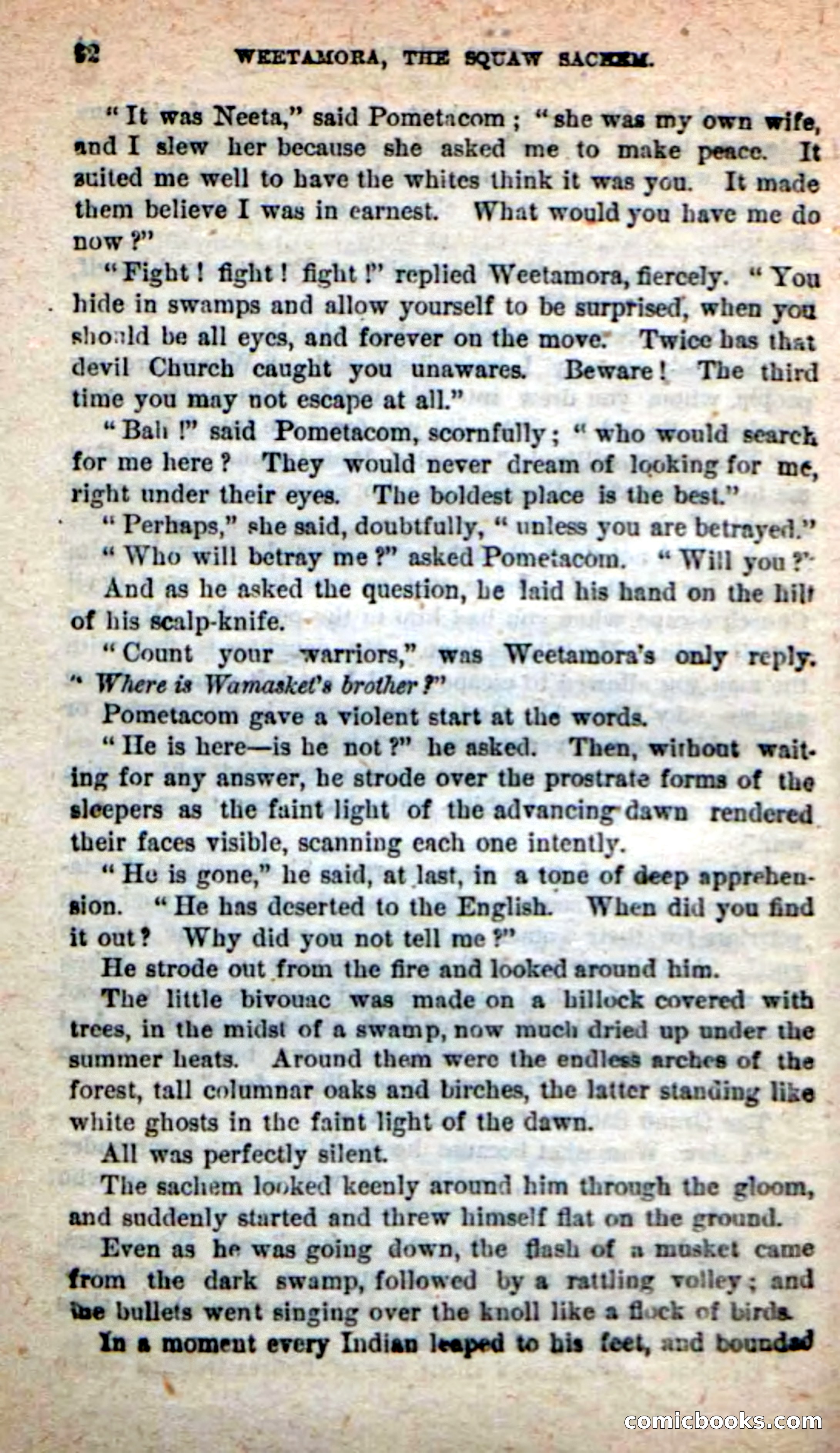 The Squaw Chief — page 88 of 100
