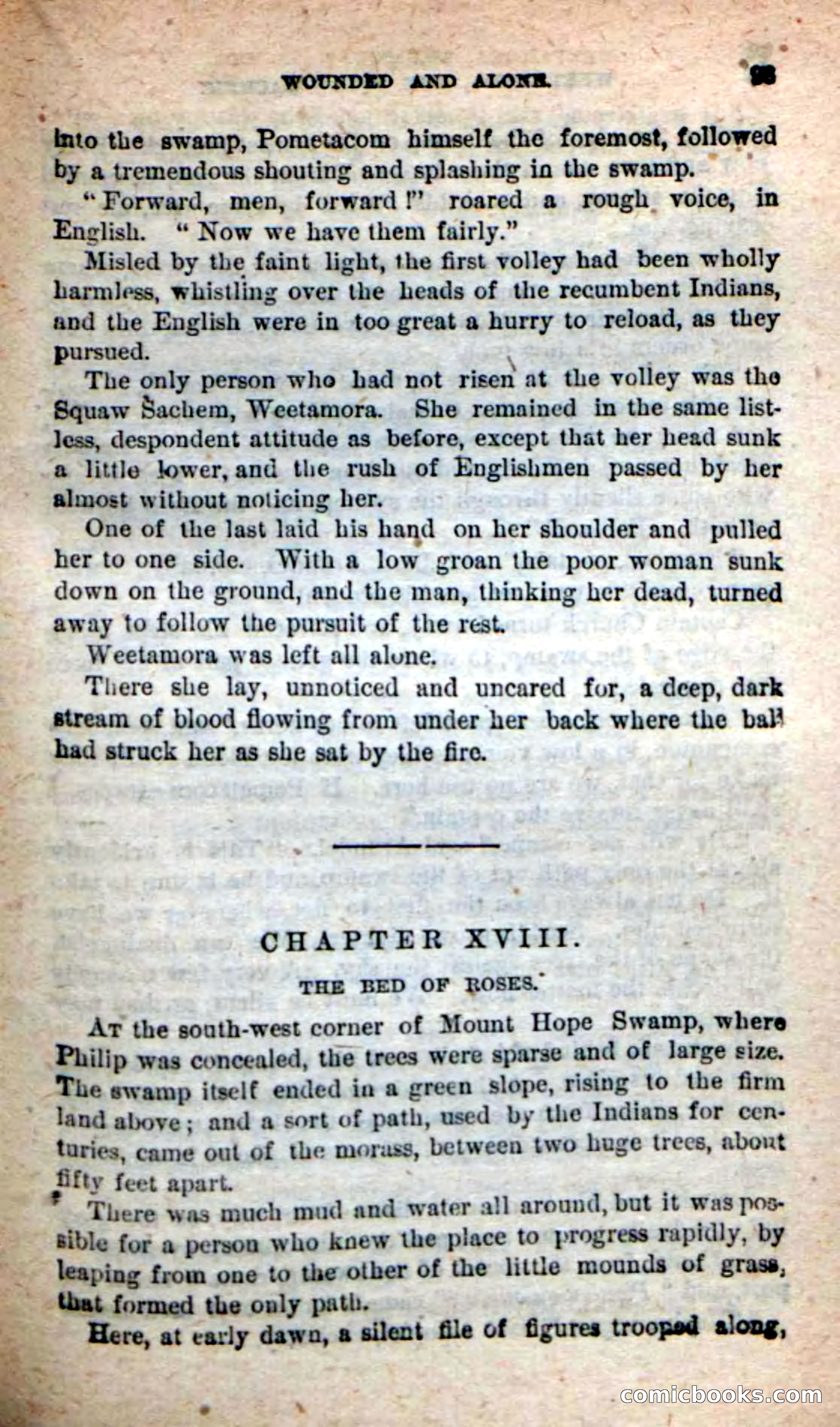 The Squaw Chief — page 89 of 100