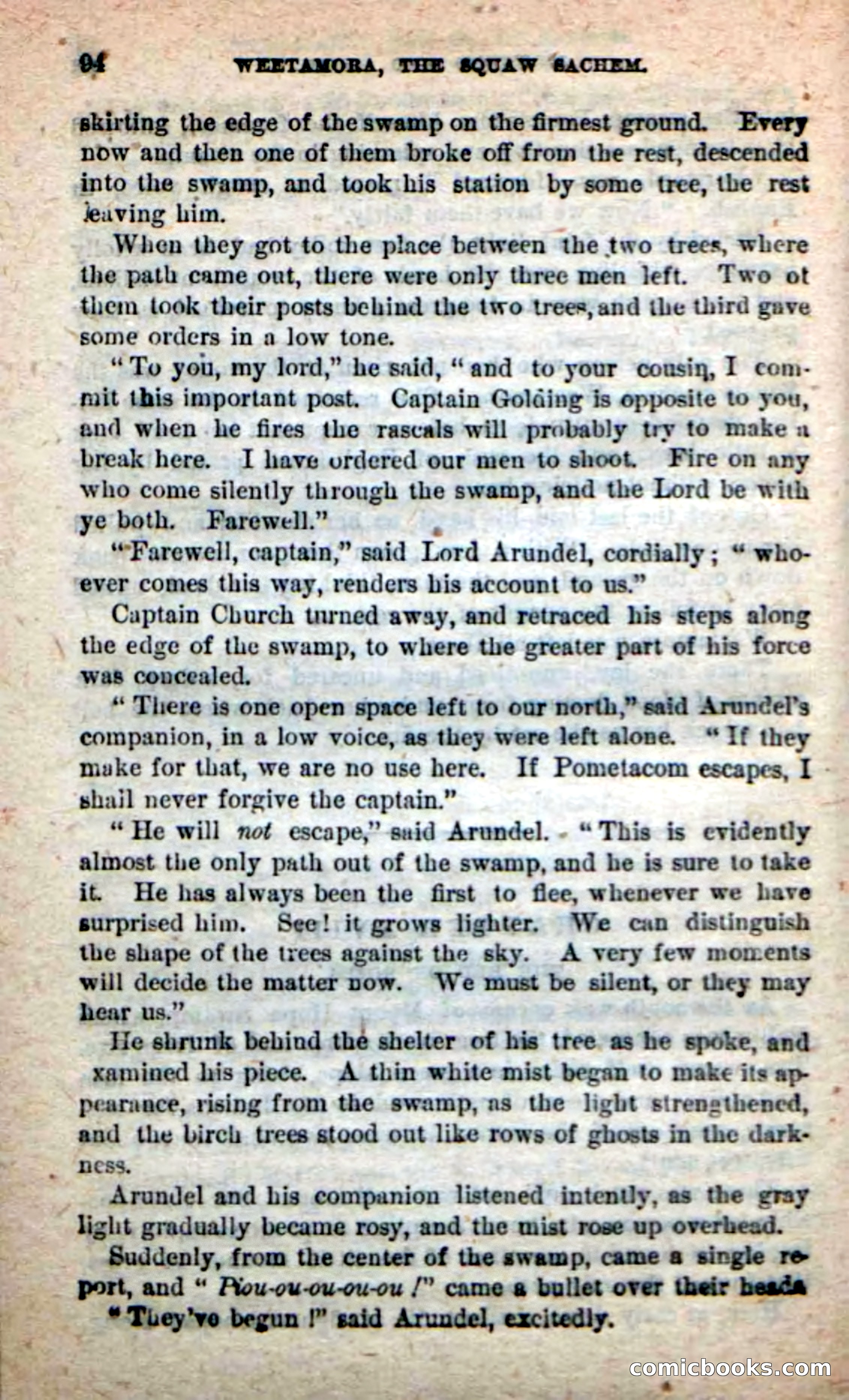 The Squaw Chief — page 90 of 100